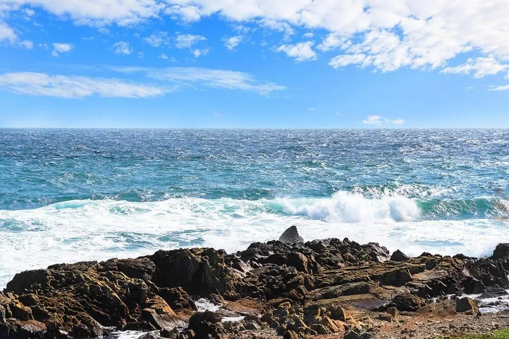 Pohang Uni’s Sea Caravan Homigot Branch