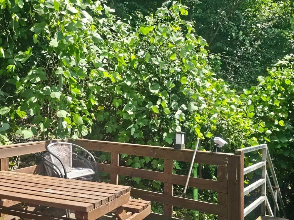 Baenaegol New Island Pension