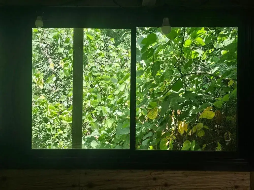 Baenaegol New Island Pension Baenaegol New Island Pension