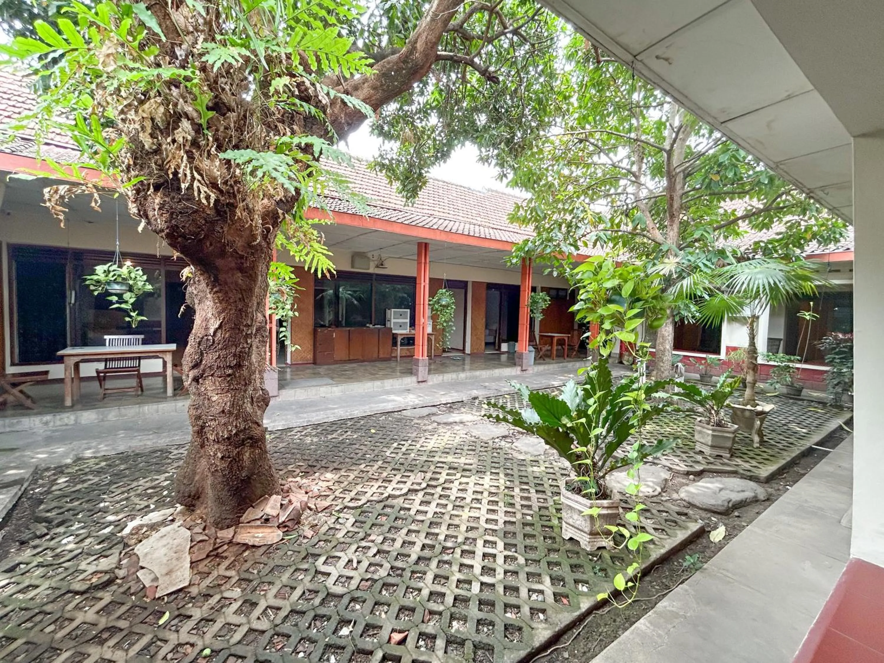 RedDoorz at Makuta Guest House Prawirotaman Yogyakarta