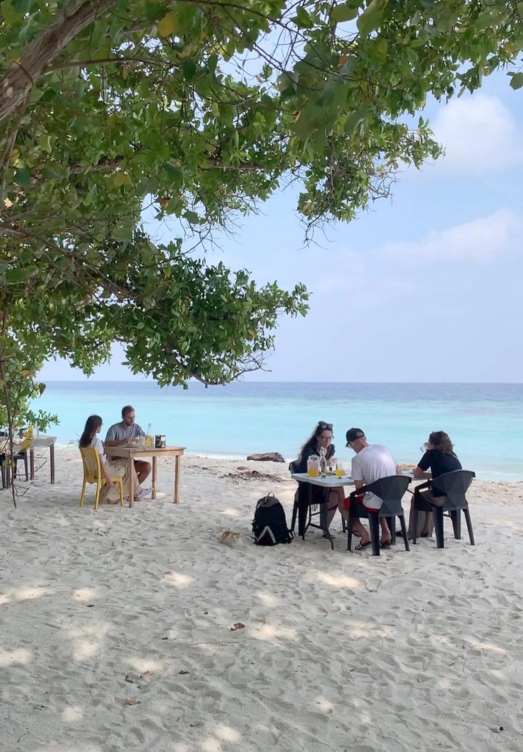 Restaurant/places to eat in Skyinn omadhoo