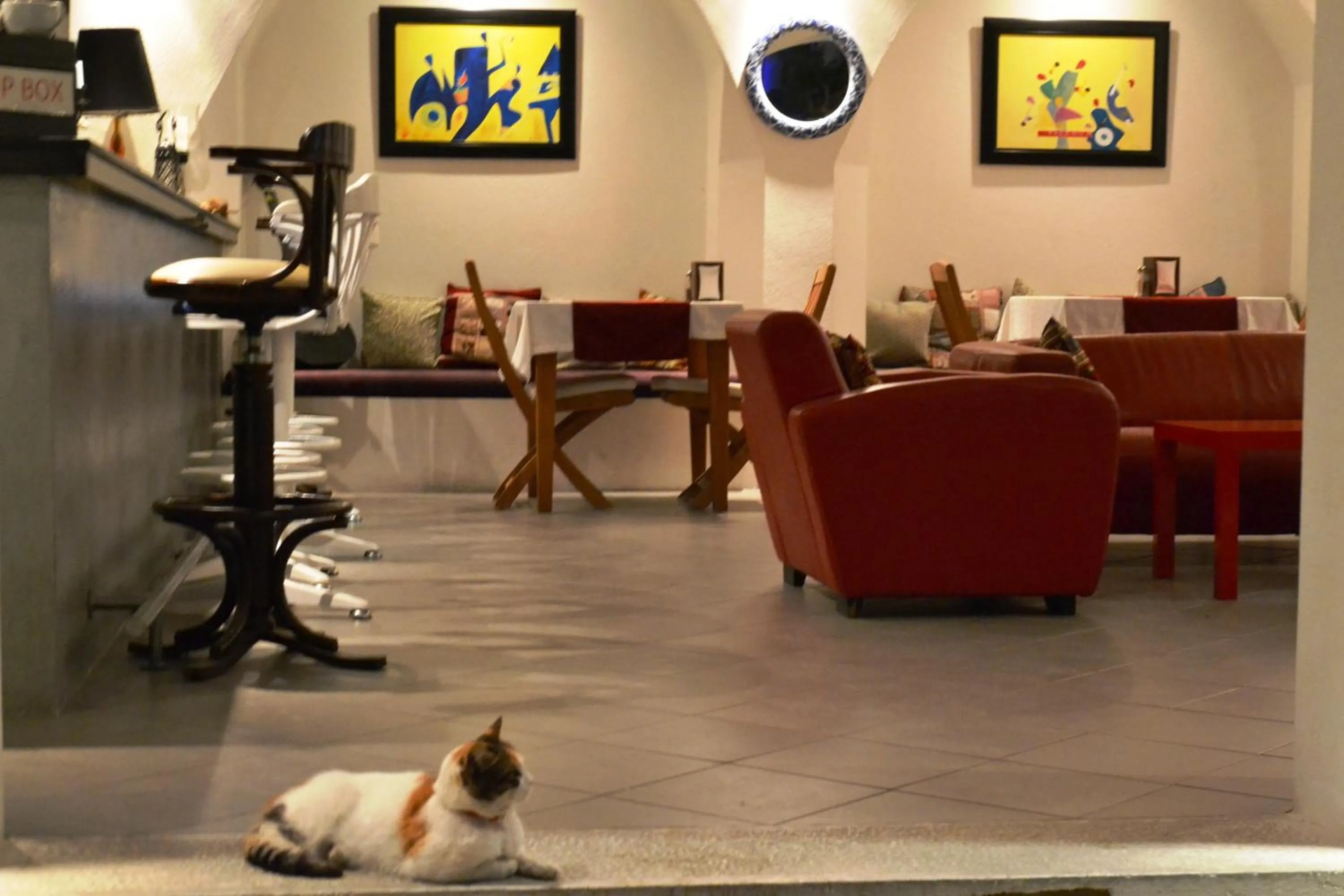 Pets in Su Hotel - Bodrum