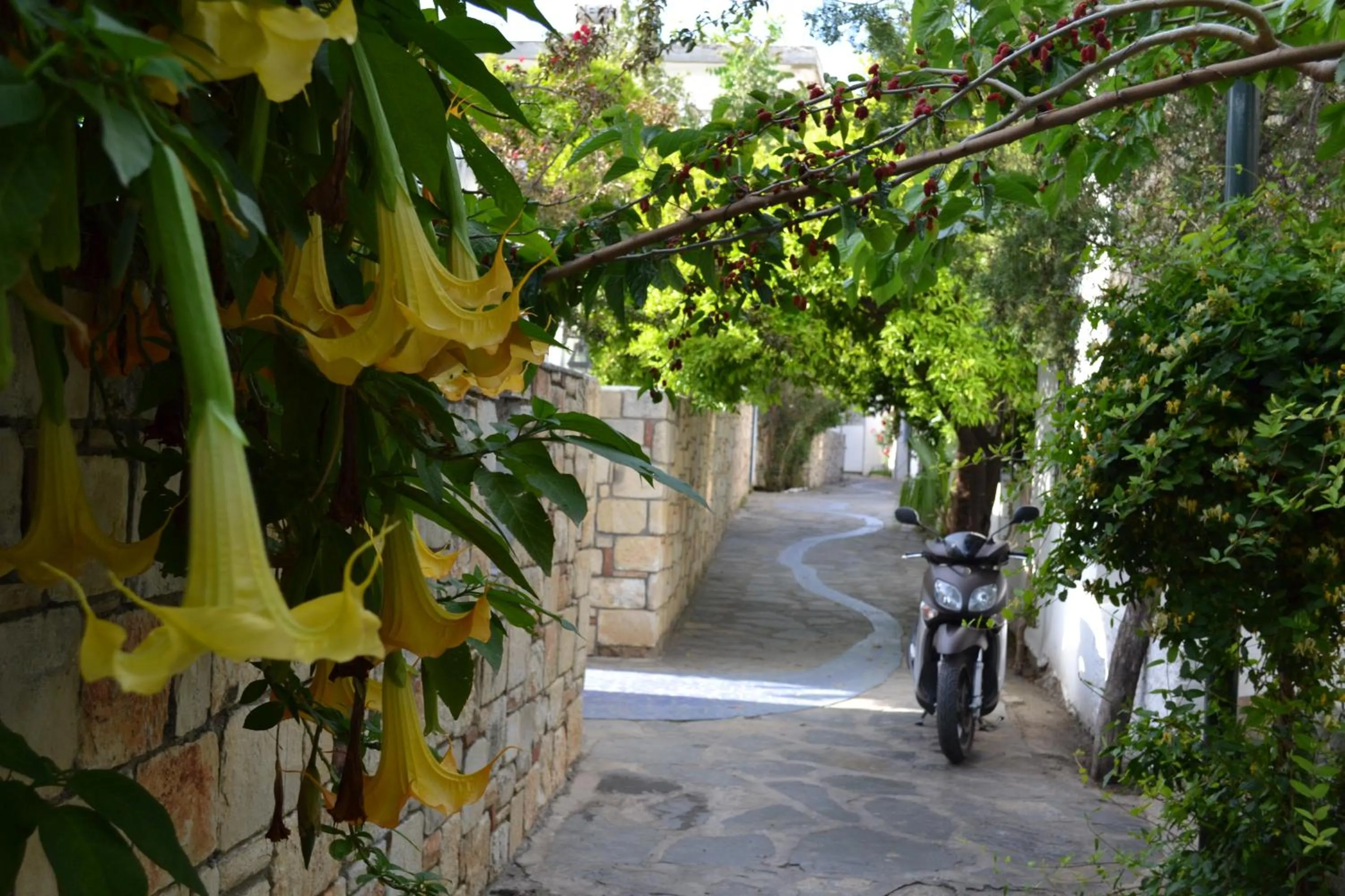 Patio in Su Hotel - Bodrum