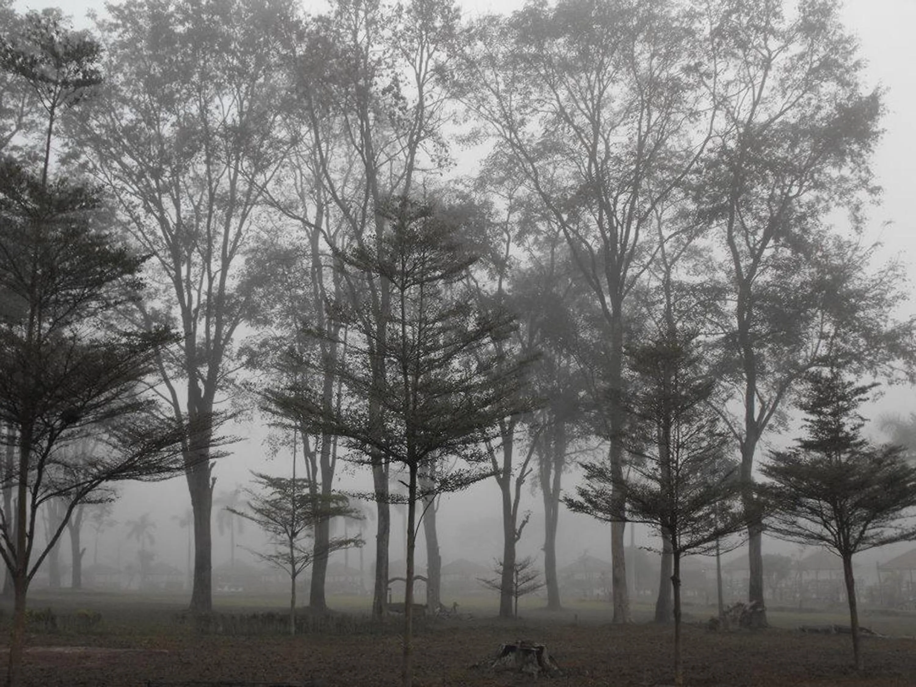 Natural landscape in Fahluang Resort