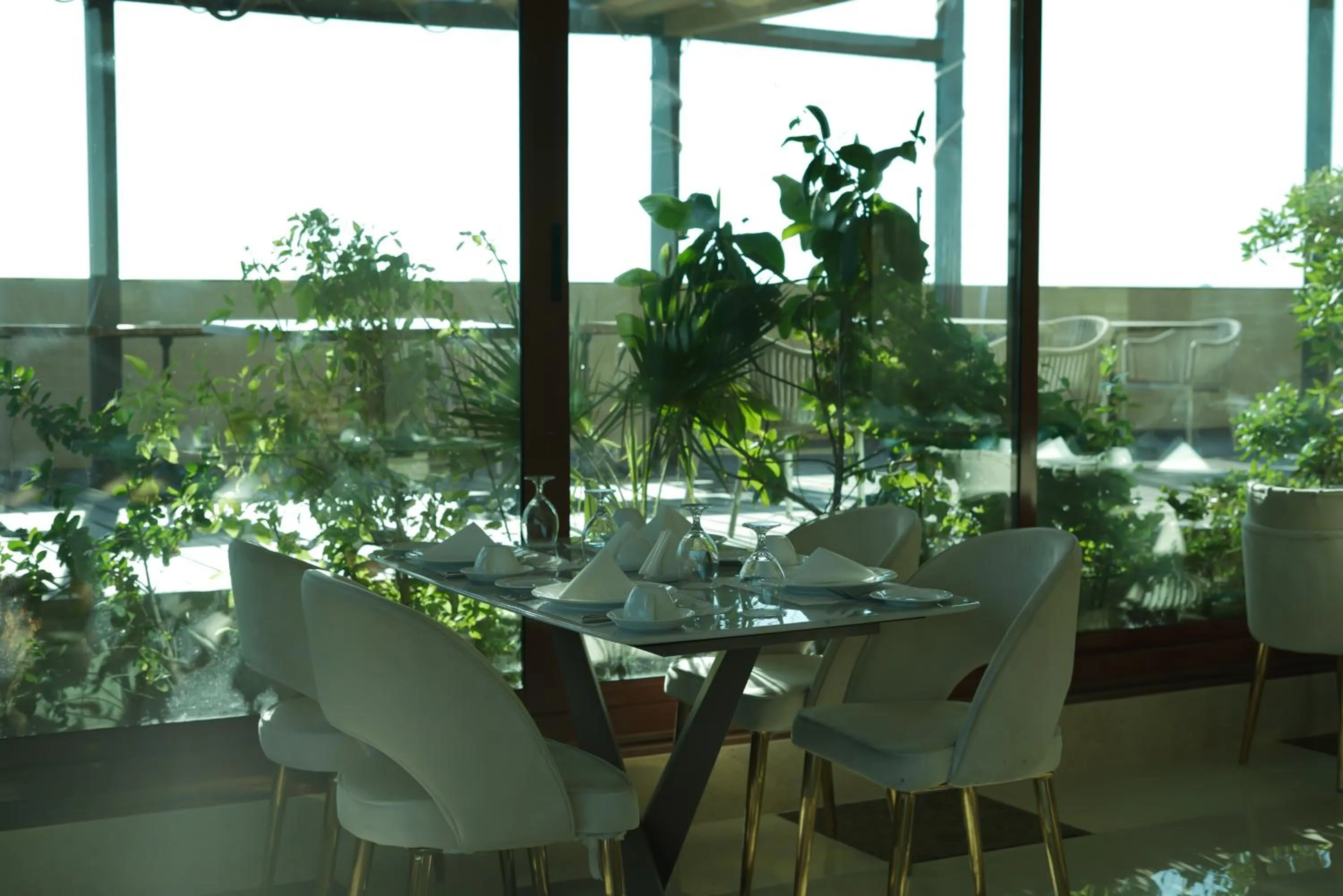 Restaurant/places to eat in La Zona Continental Hotel