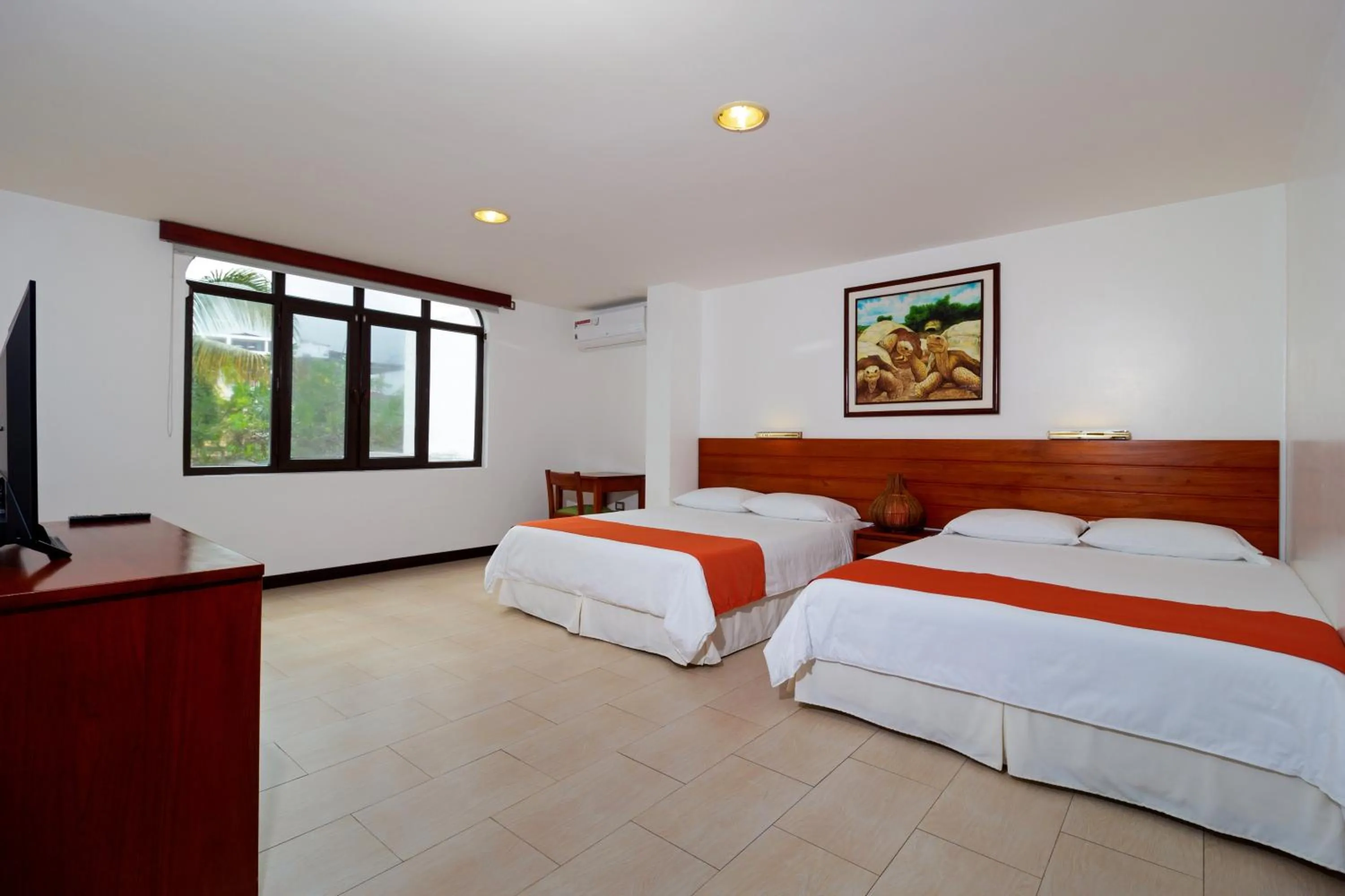 Superior Apartment - single occupancy in Galapagos Apartments - Bay View House