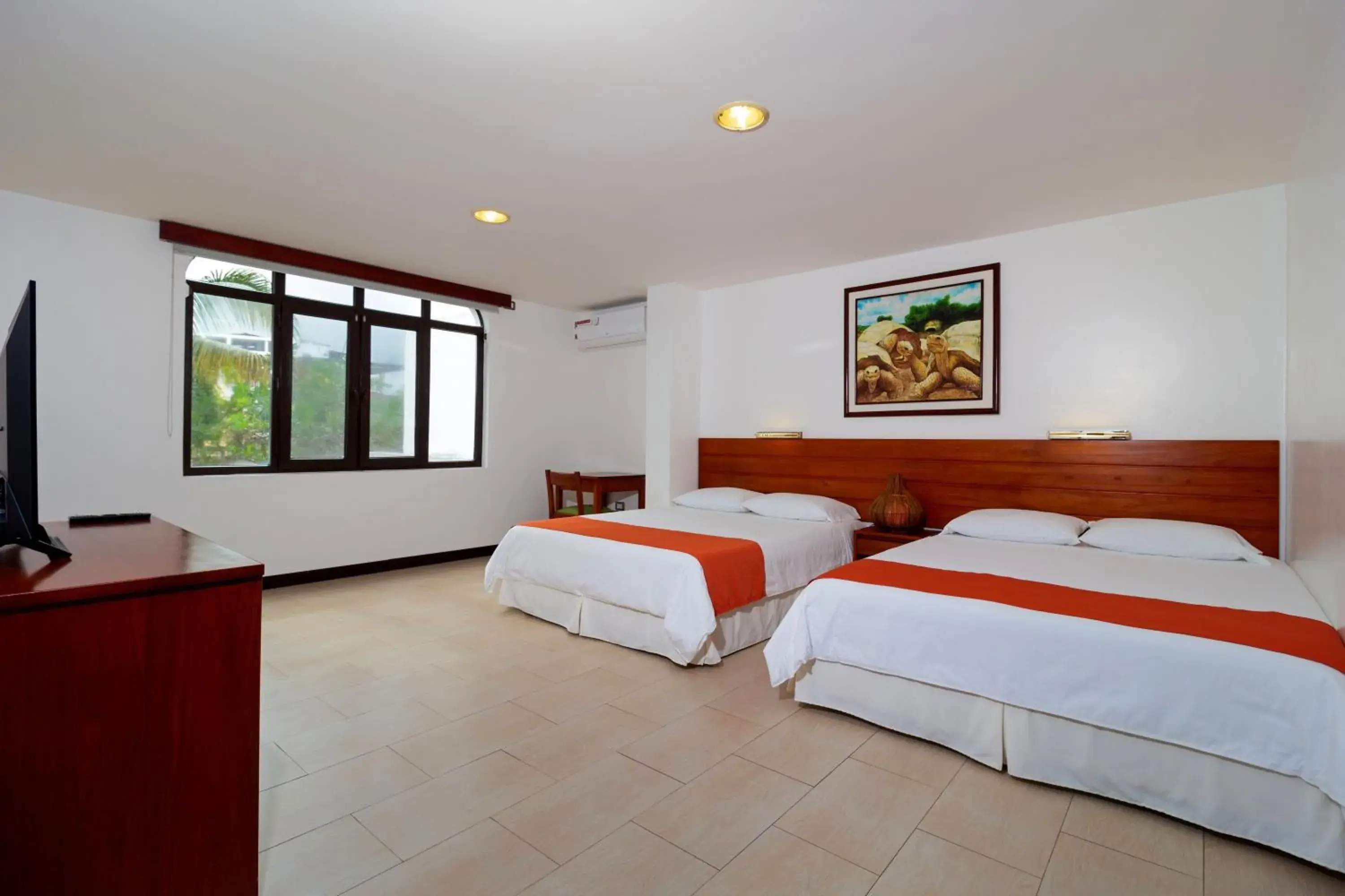 Superior Apartment - single occupancy in Galapagos Apartments - Bay View House Superior Apartment - single occupancy in Galapagos Apartments - Bay View House