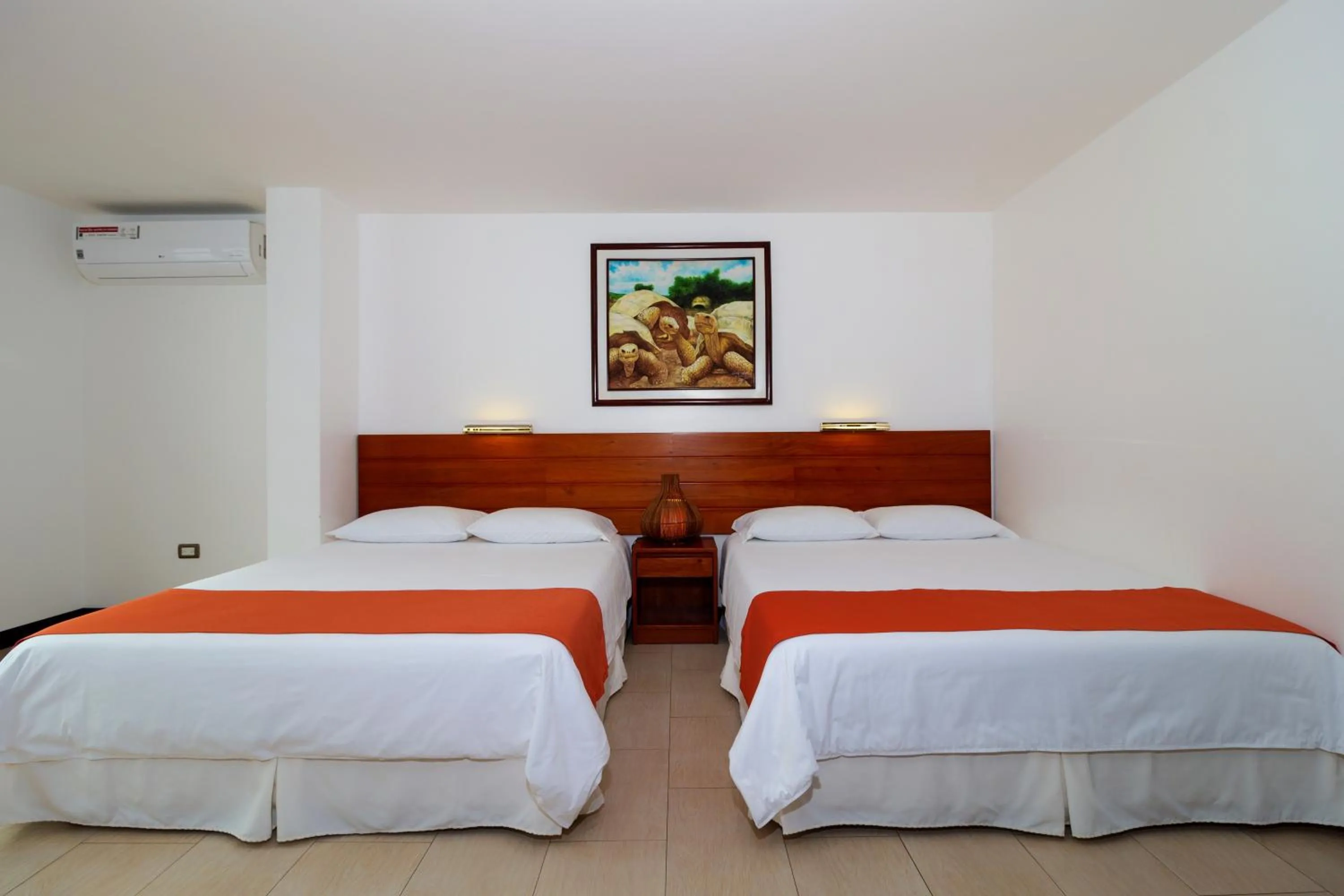 Superior Apartment - single occupancy in Galapagos Apartments - Bay View House