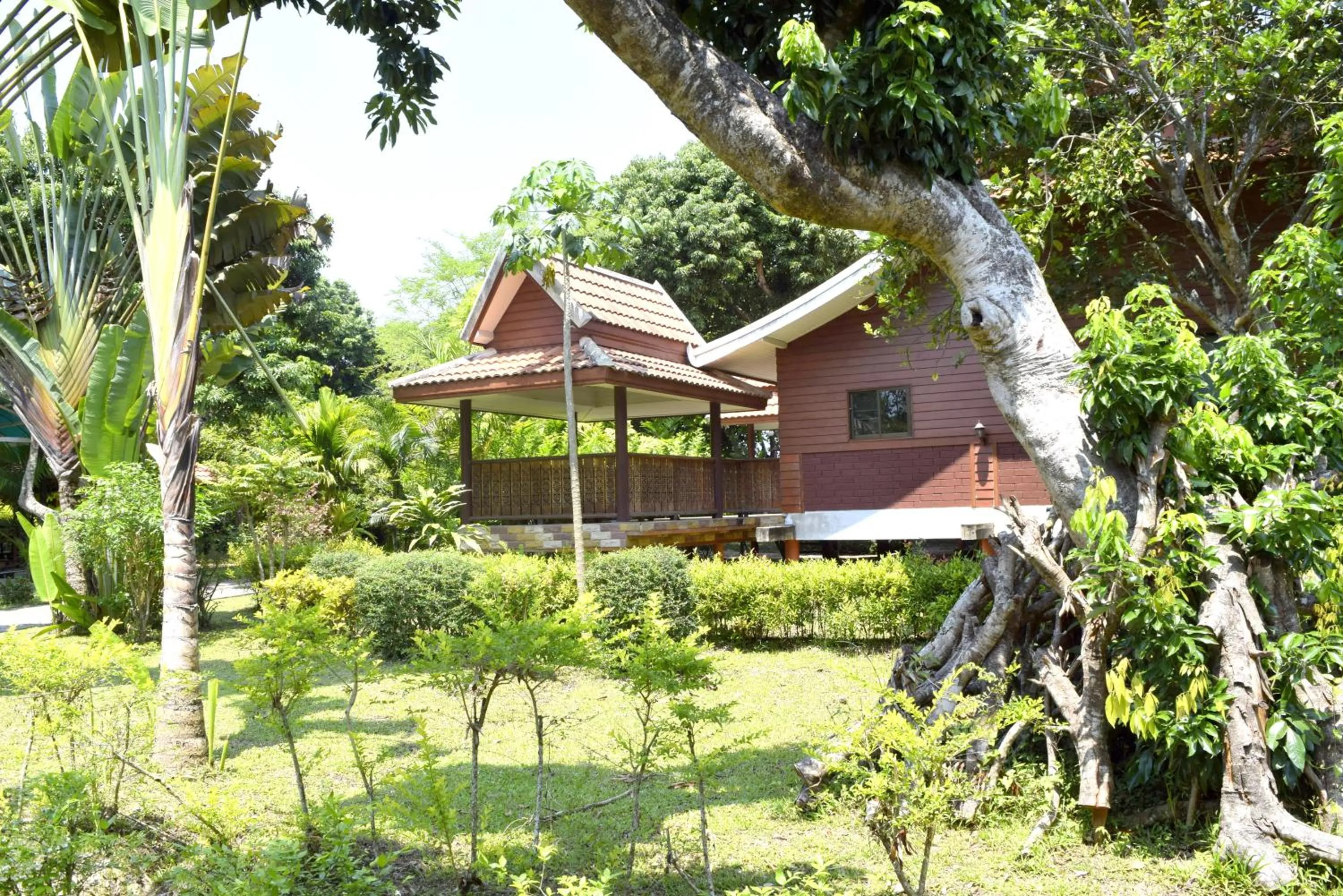Balcony/Terrace in Siam Tara Resort Chiangkhong