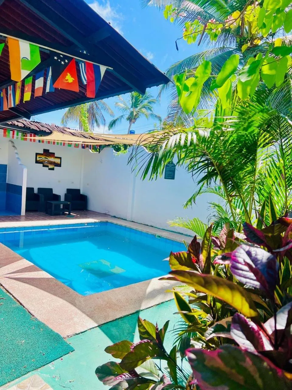 Swimming pool in The Galapagos Pearl B&B