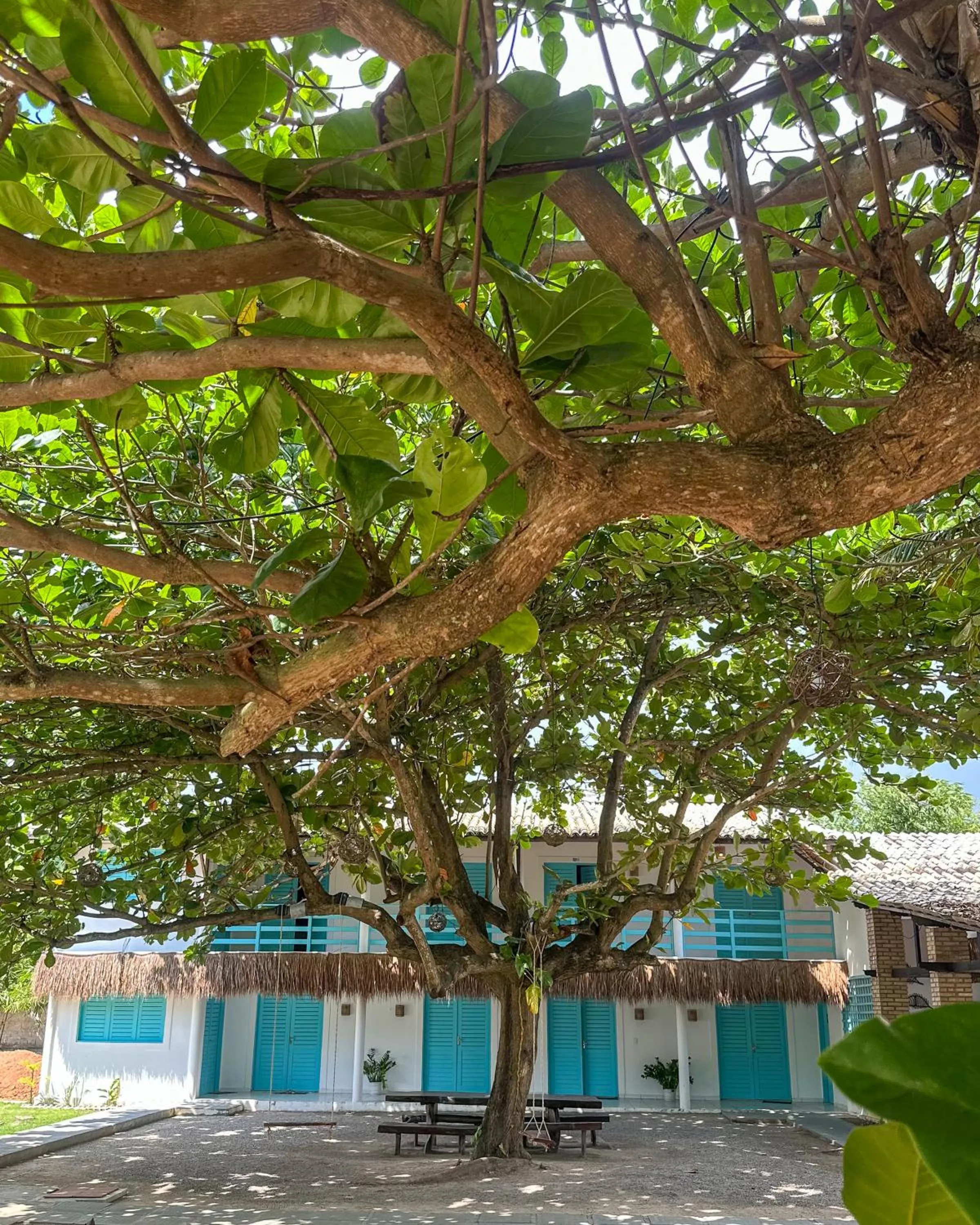 Property building in Amaly Pousada