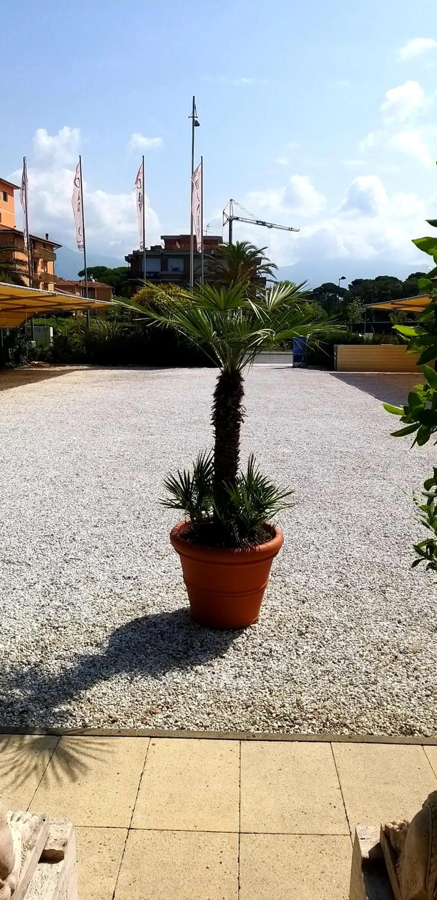 Parking in Danio beach house
