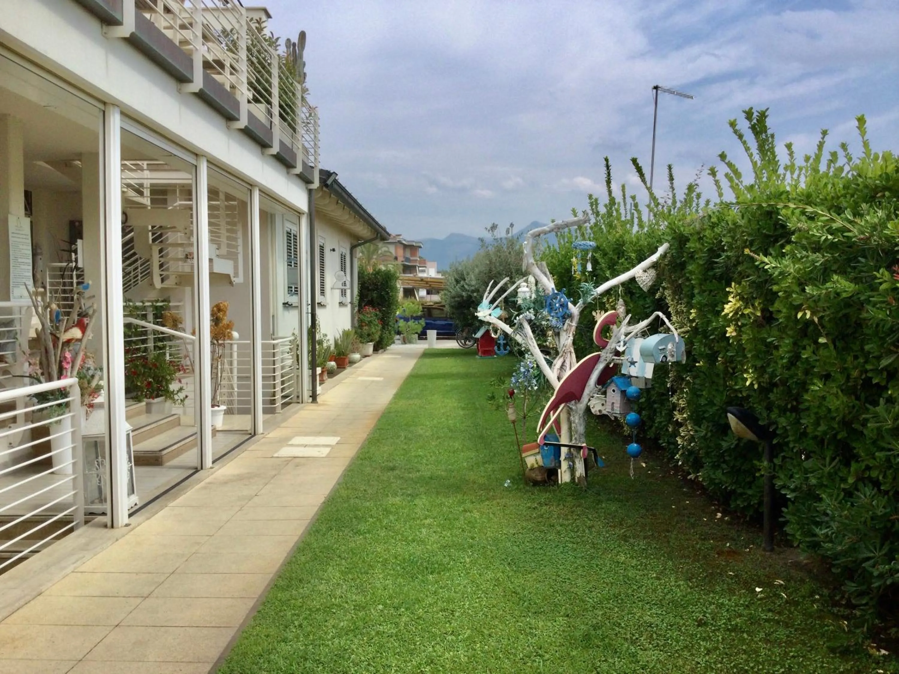 Garden view in Danio beach house