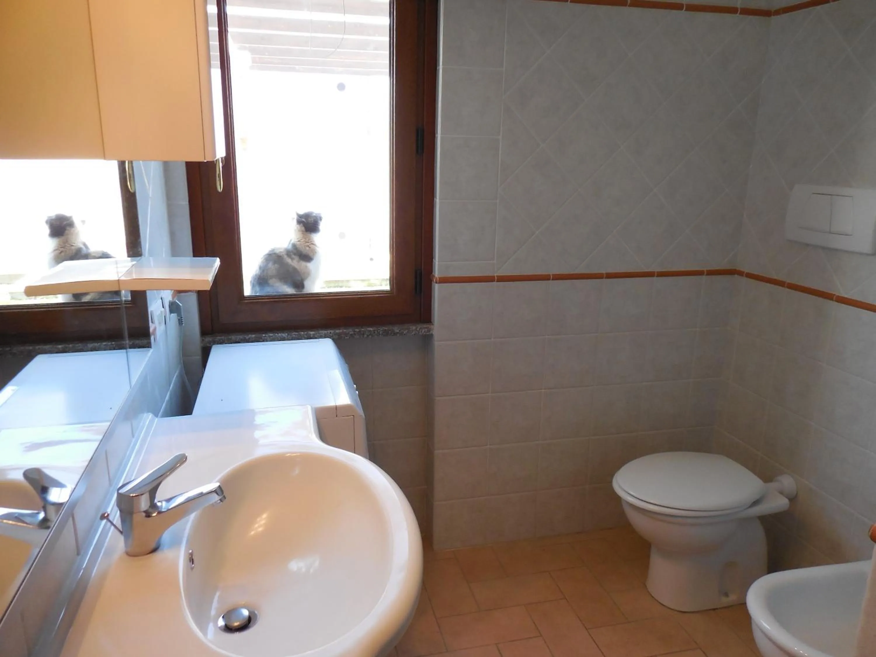 Bathroom in Azienda Il Tizzano