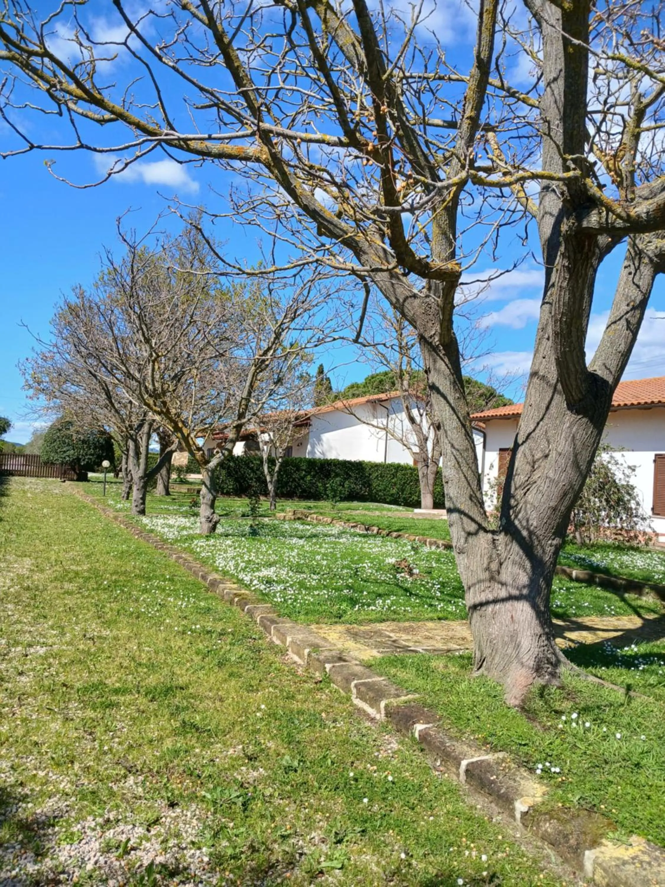 Azienda Il Tizzano