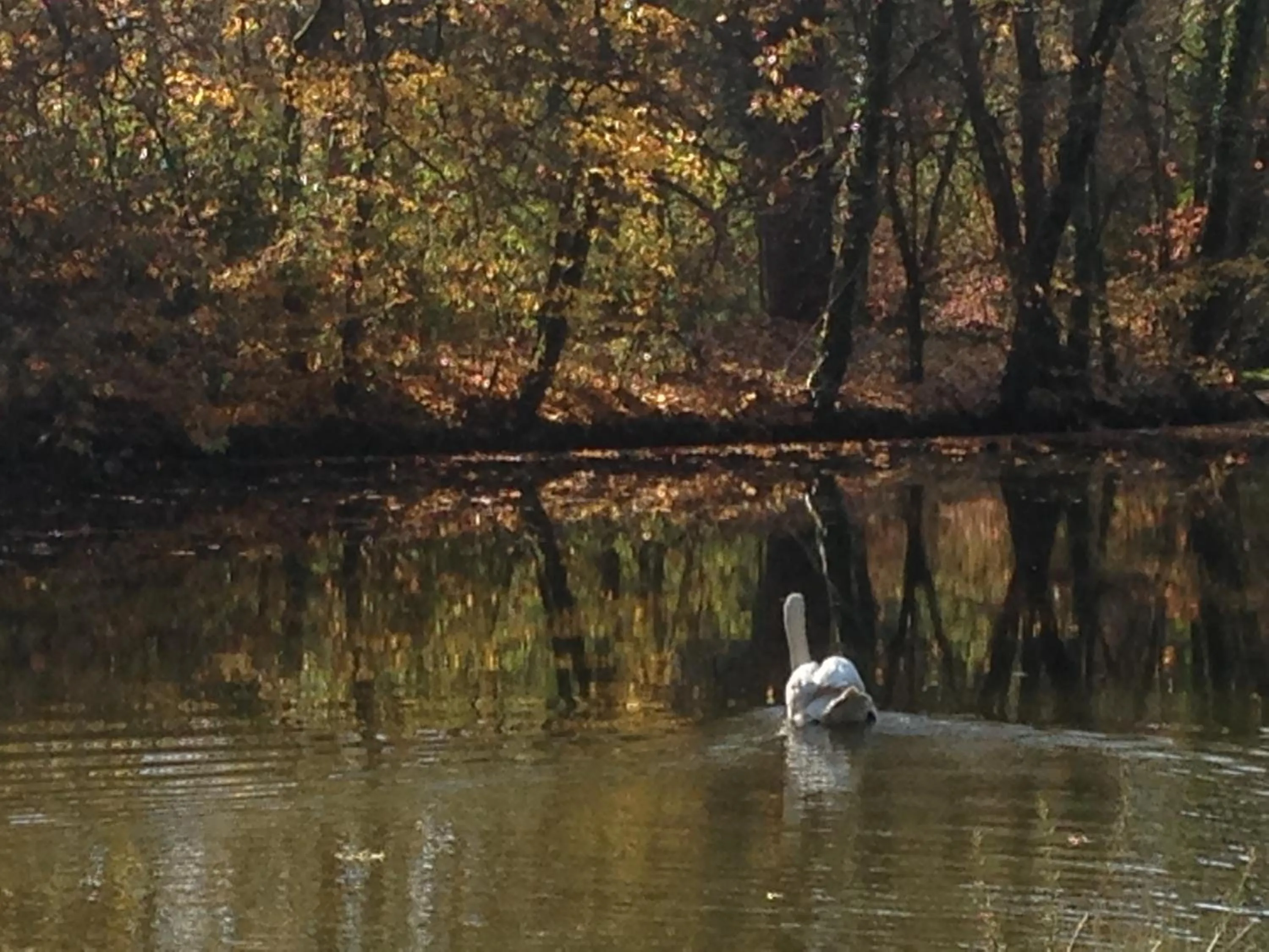 Chateau de Bresse sur Grosne