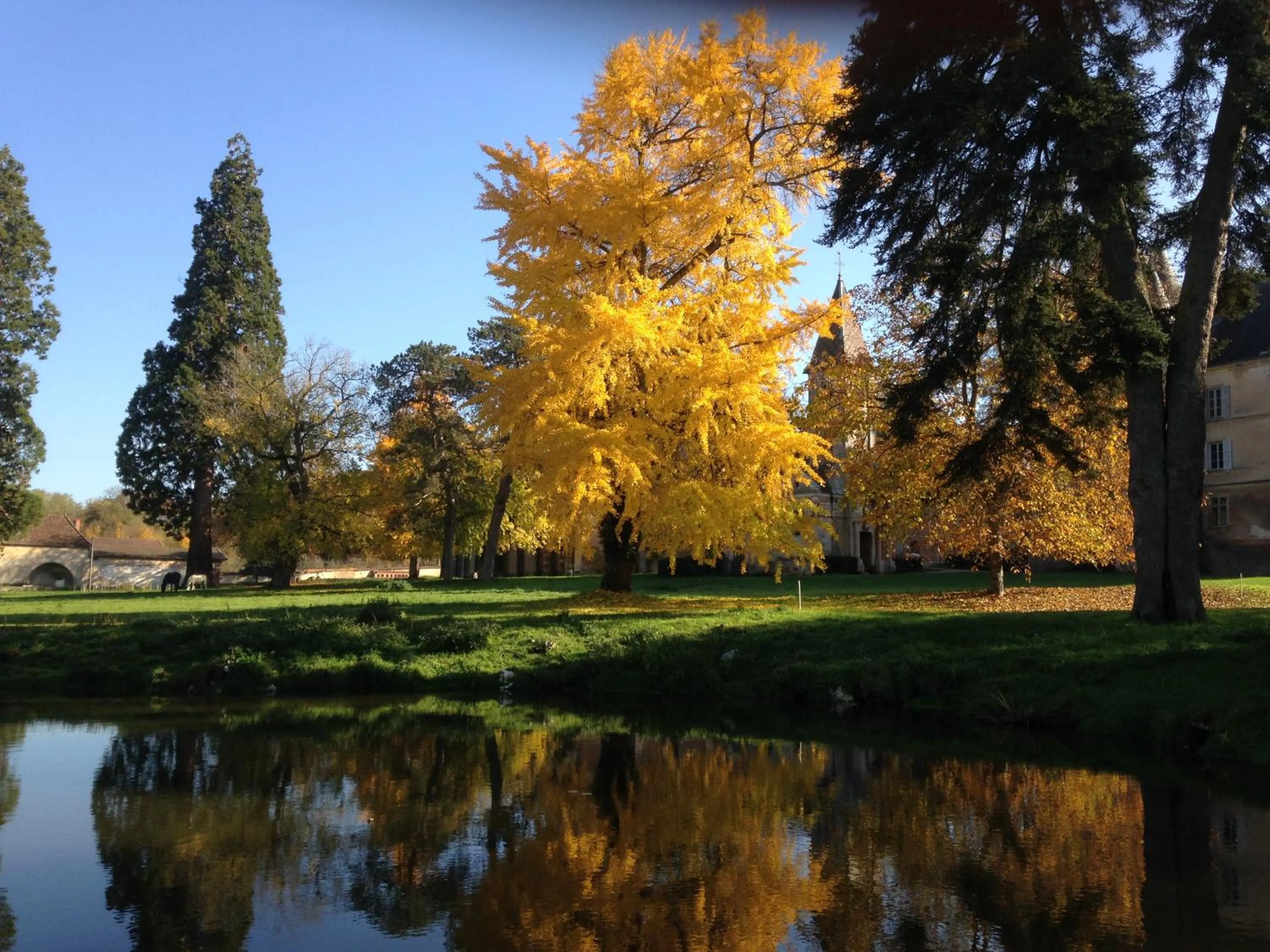 Chateau de Bresse sur Grosne