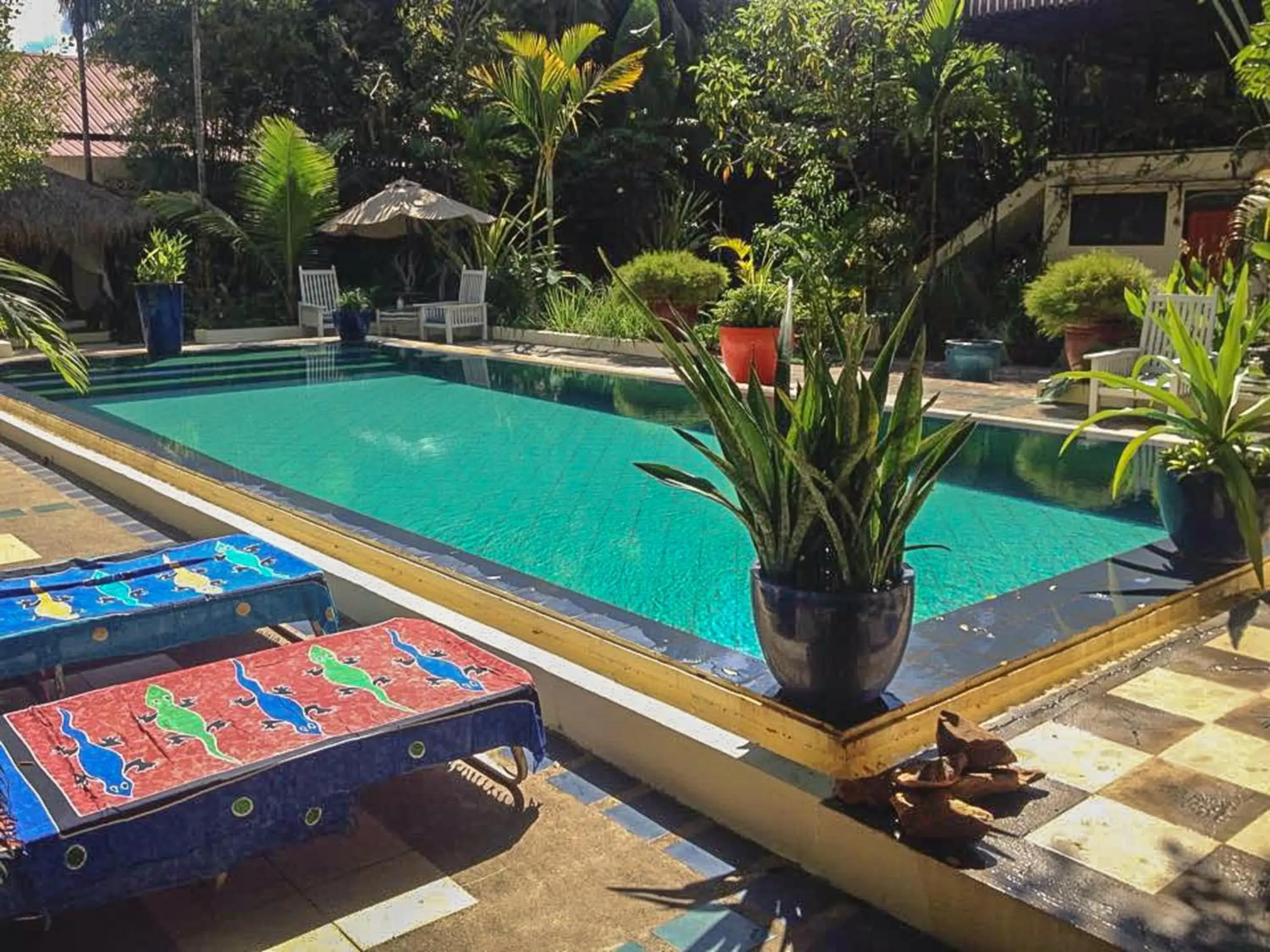 Swimming pool in The Cockatoo Nature Resort & Spa Swimming pool in The Cockatoo Nature Resort & Spa