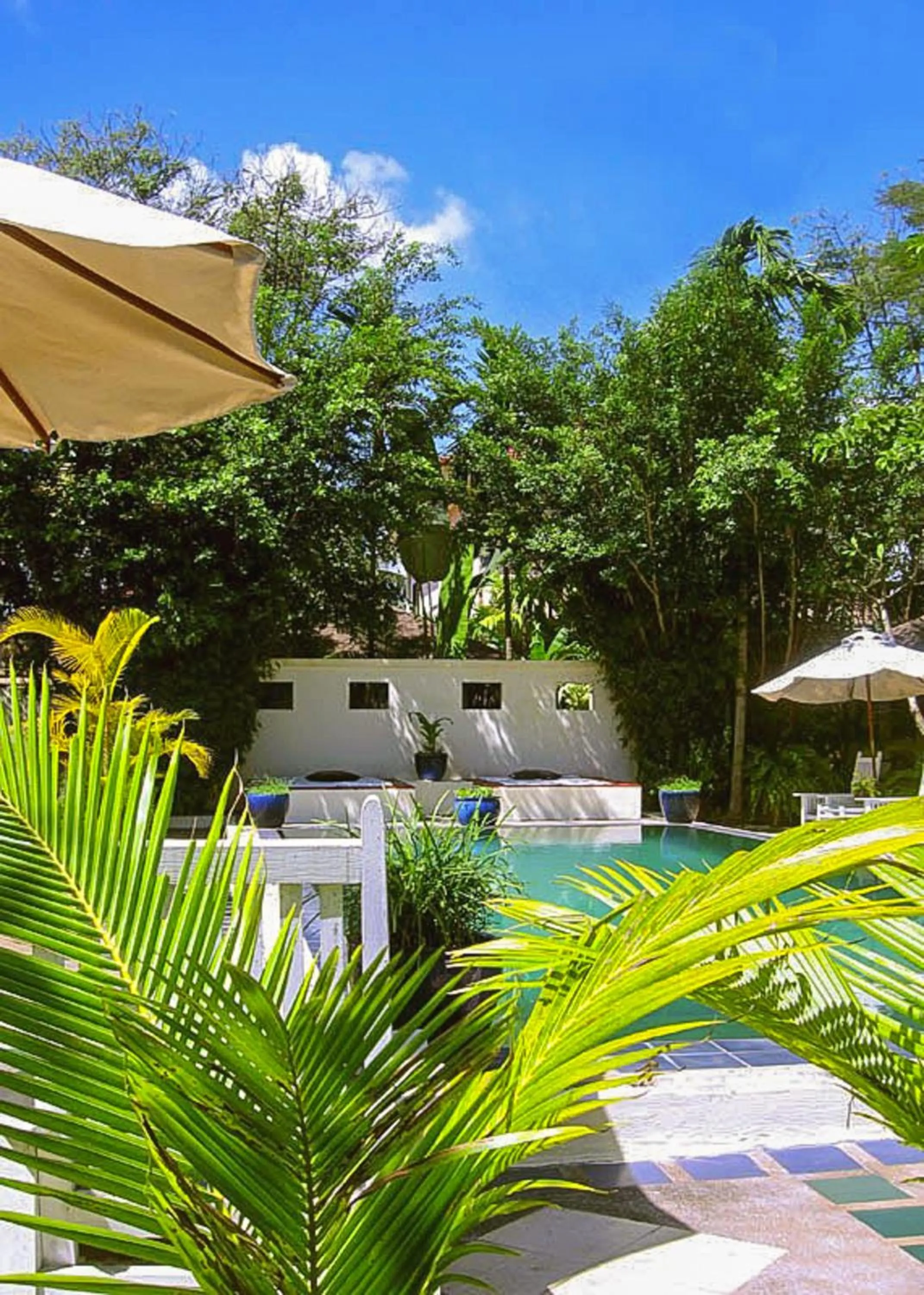 Swimming pool in The Cockatoo Nature Resort & Spa