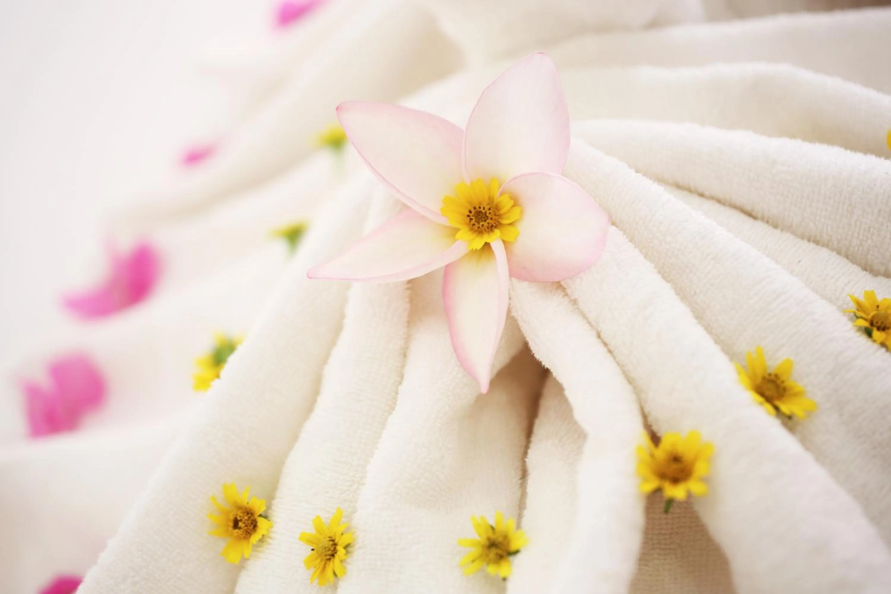 Decorative detail in The Cockatoo Nature Resort & Spa