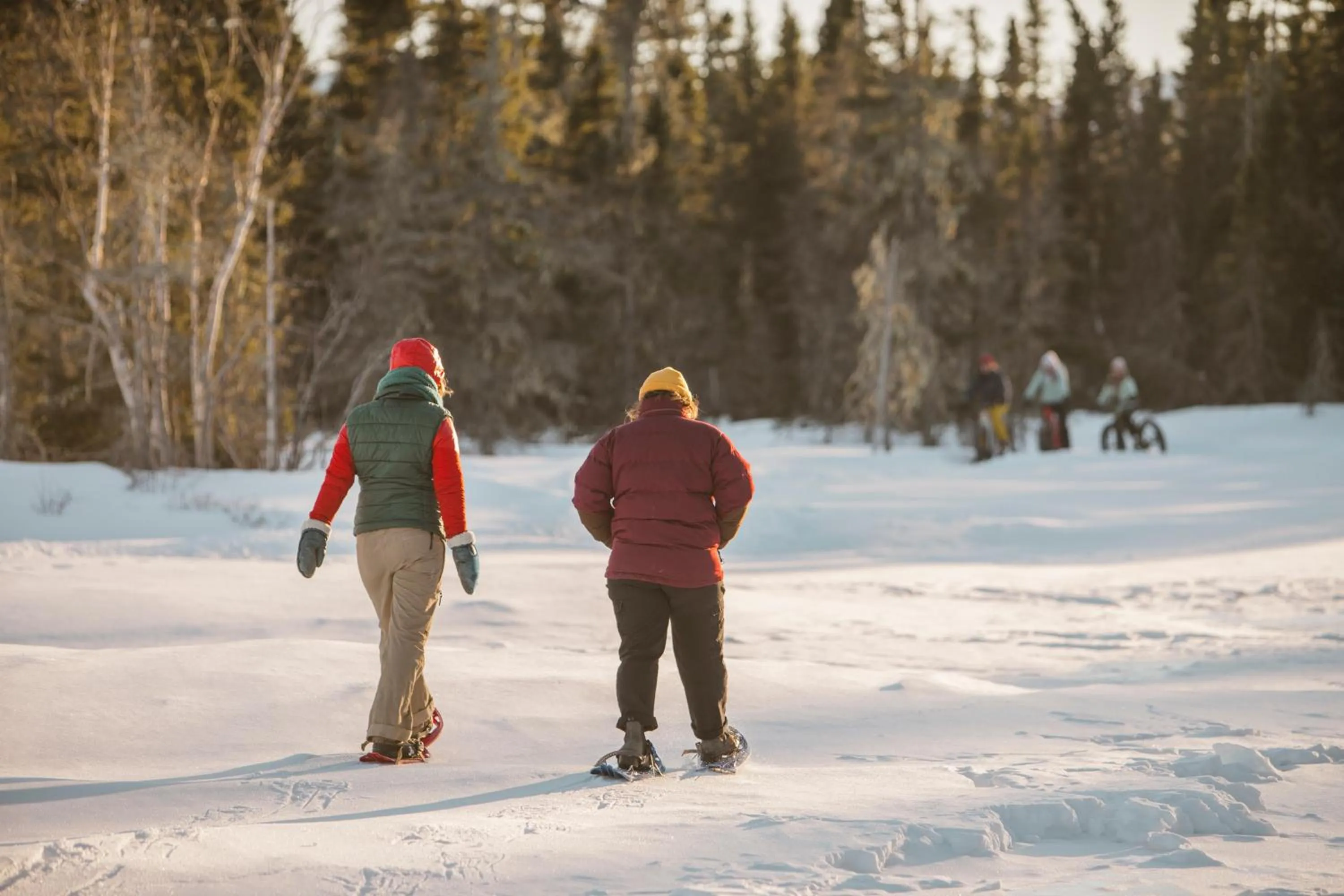 Winter in Chalets du bout du monde