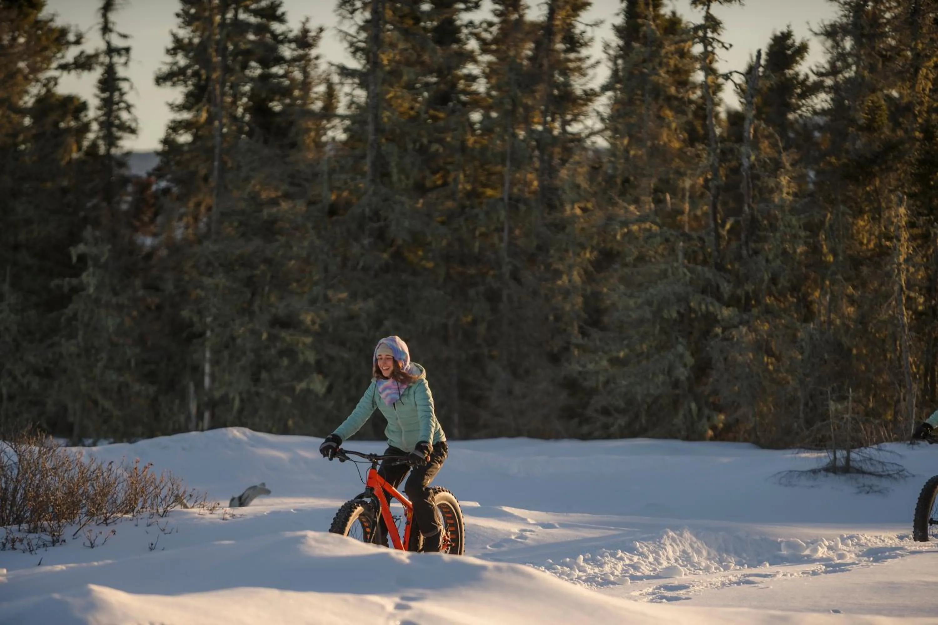 Winter in Chalets du bout du monde