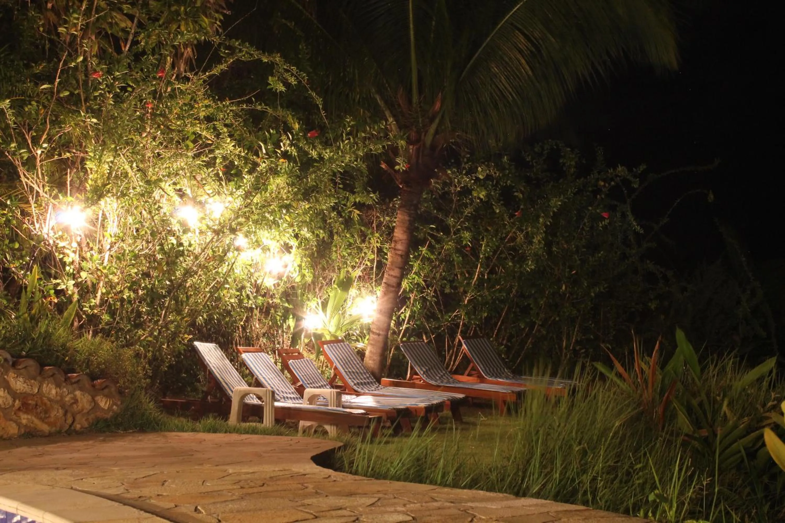 Garden in Pousada Colibri