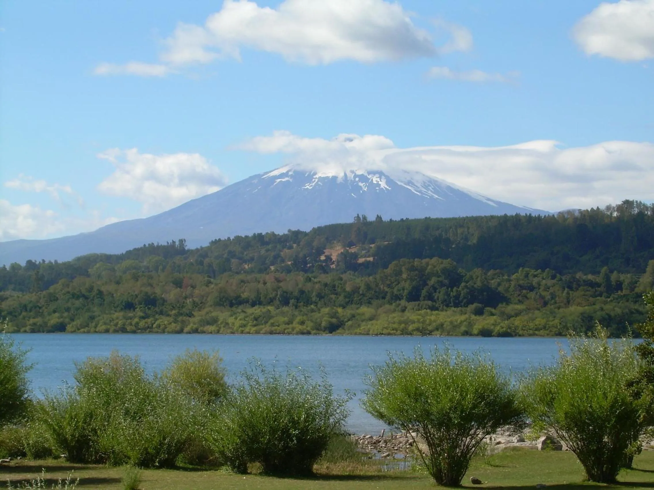 Area and facilities in Apart Hotel Antu de Villarrica