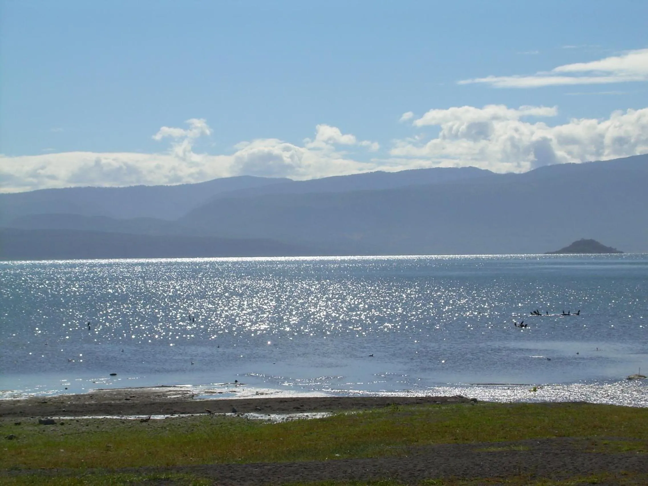Summer in Apart Hotel Antu de Villarrica