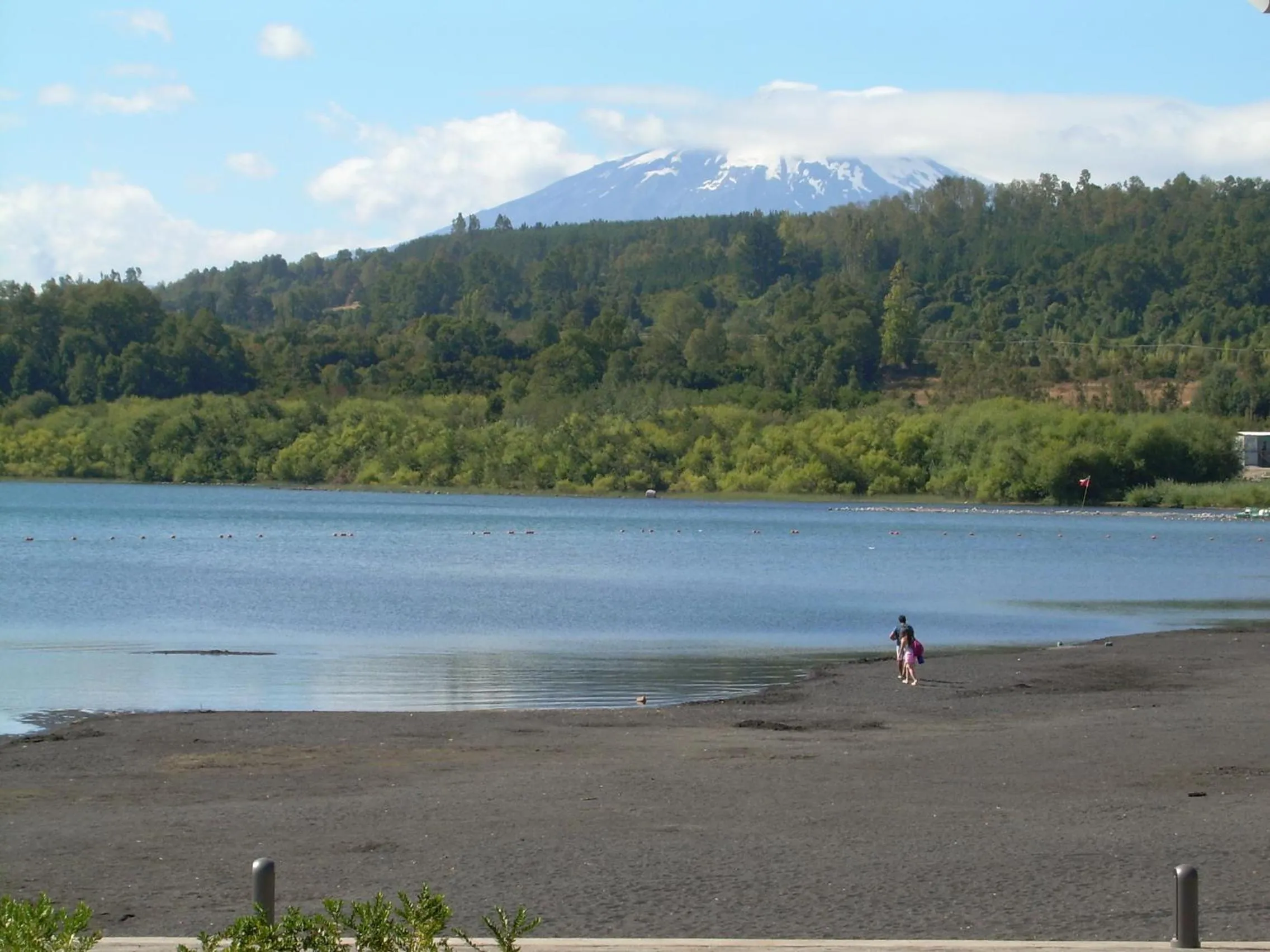 Area and facilities in Apart Hotel Antu de Villarrica