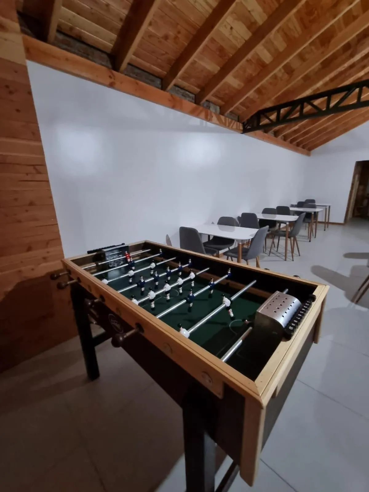 Entertainment in Apart Hotel Antu de Villarrica