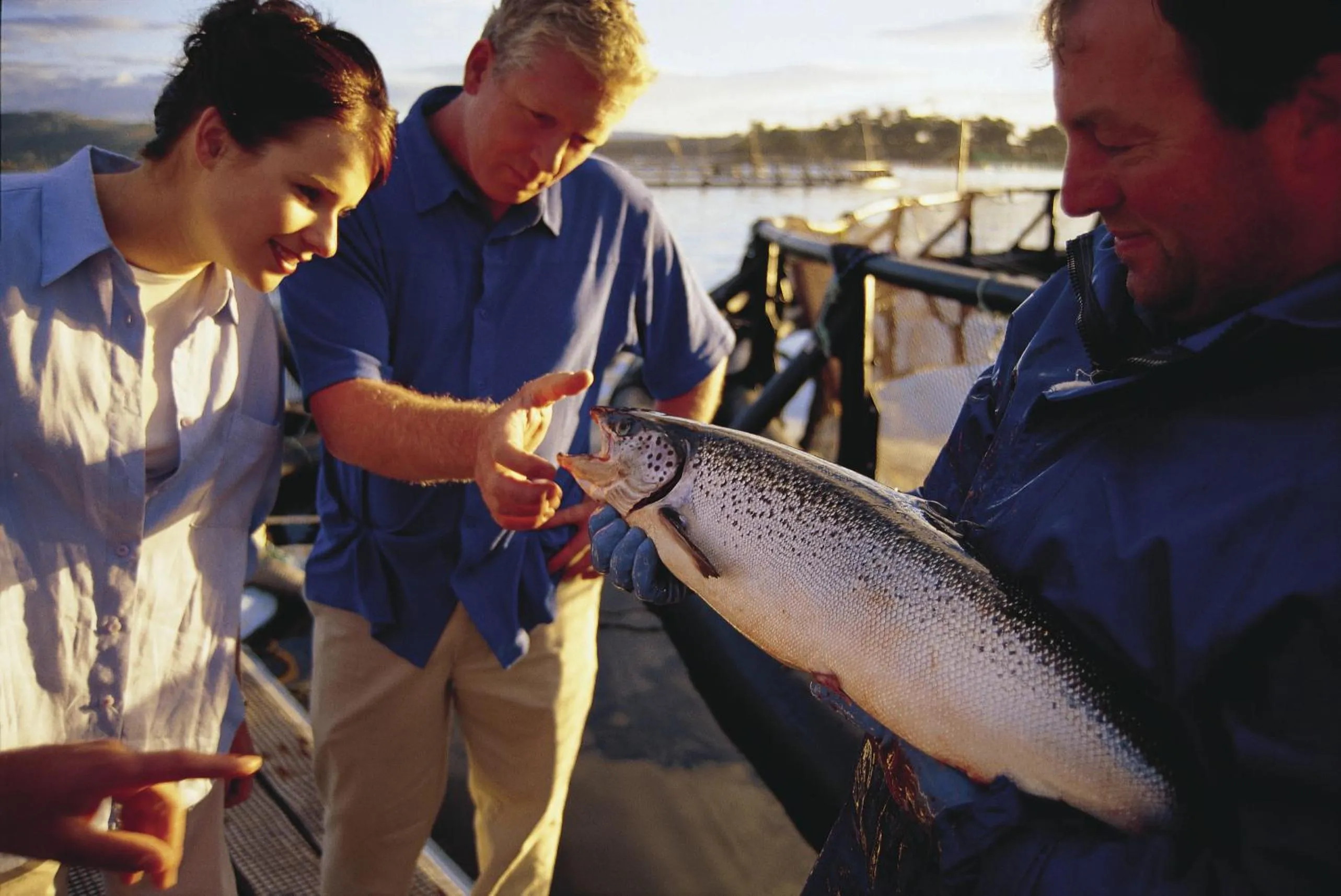 Fishing in Kermandie Hotel