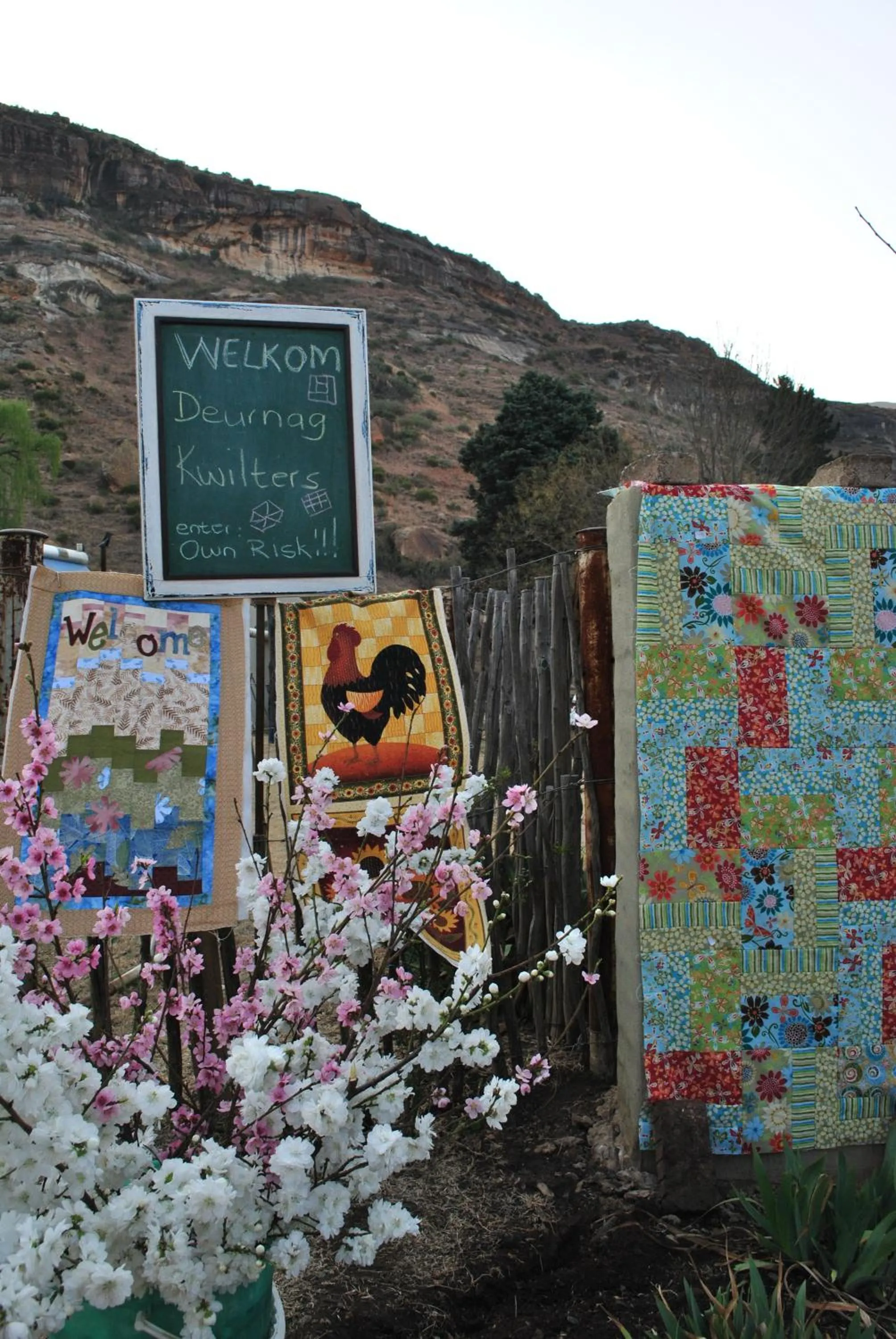 Spring in Aspen Guest House