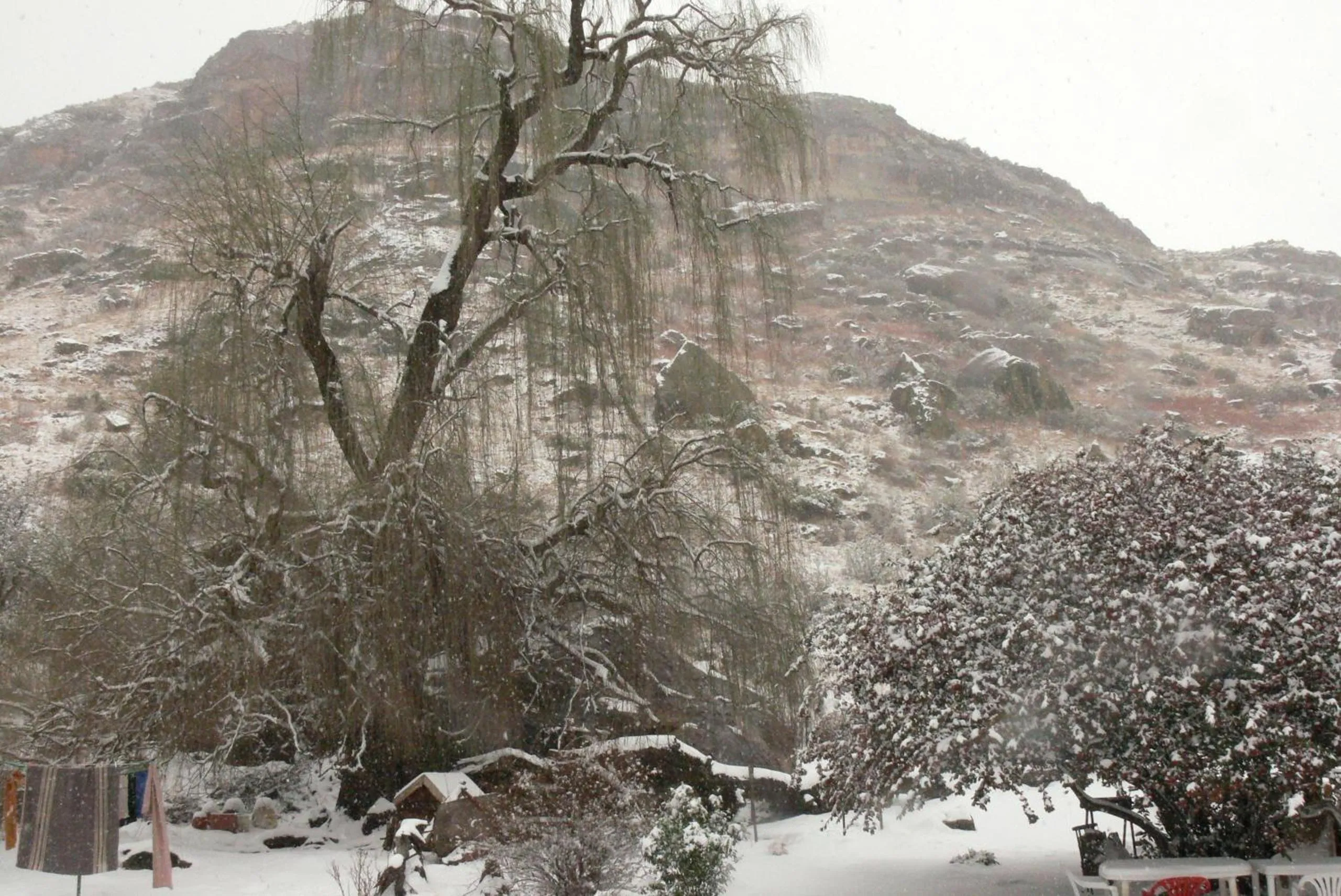 Natural landscape in Aspen Guest House