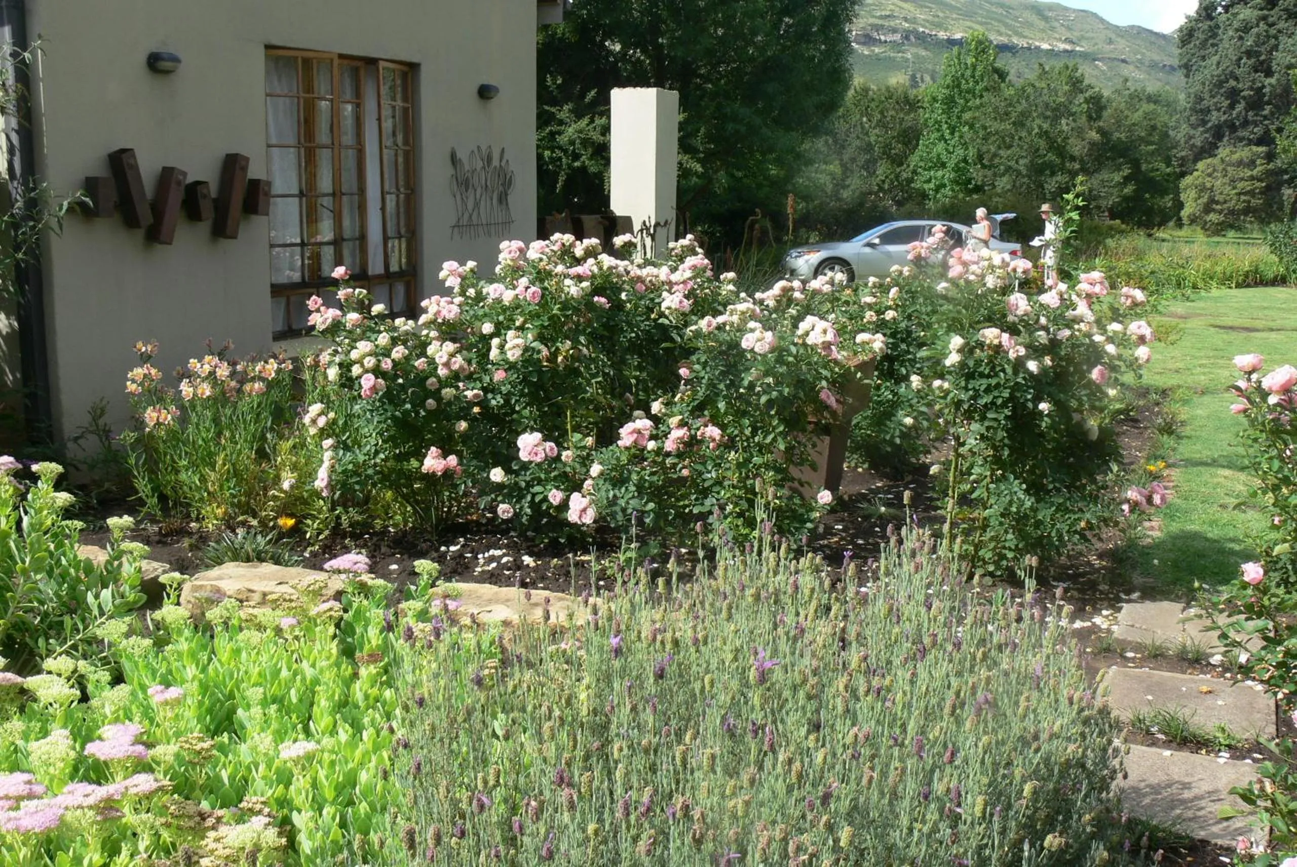 Spring in Aspen Guest House