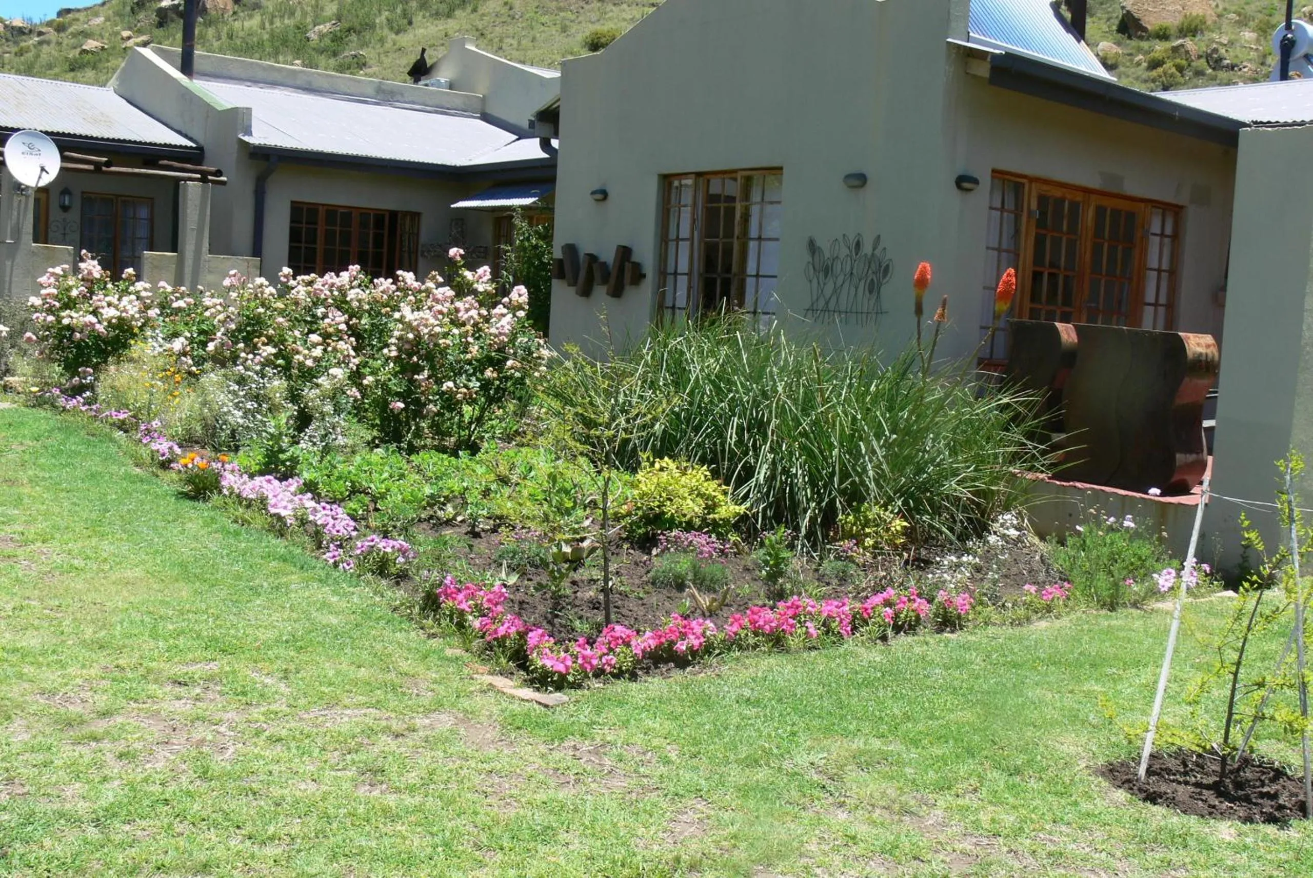 Spring in Aspen Guest House