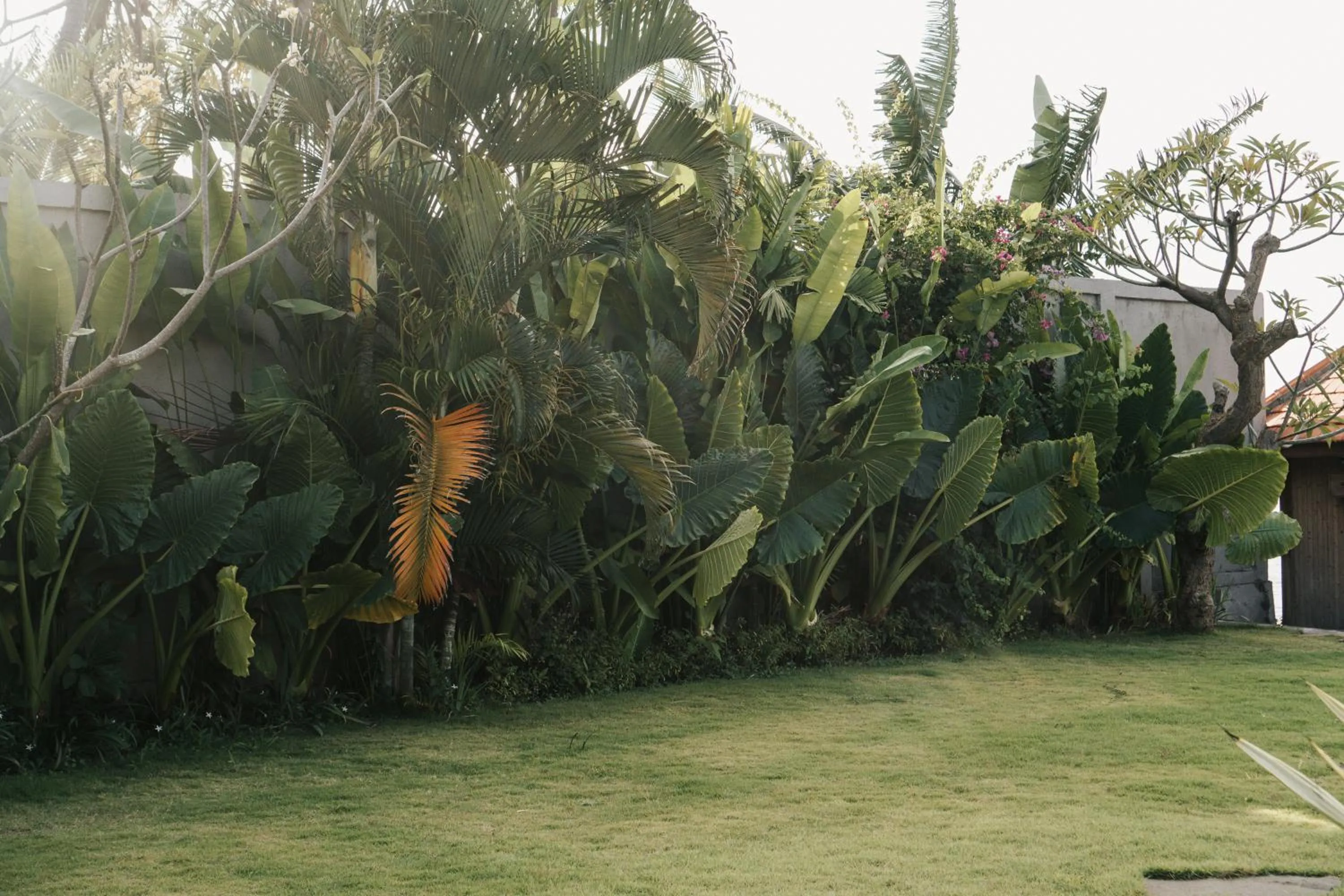 View (from property/room) in Seaside Oceana Suites by Mahaprana