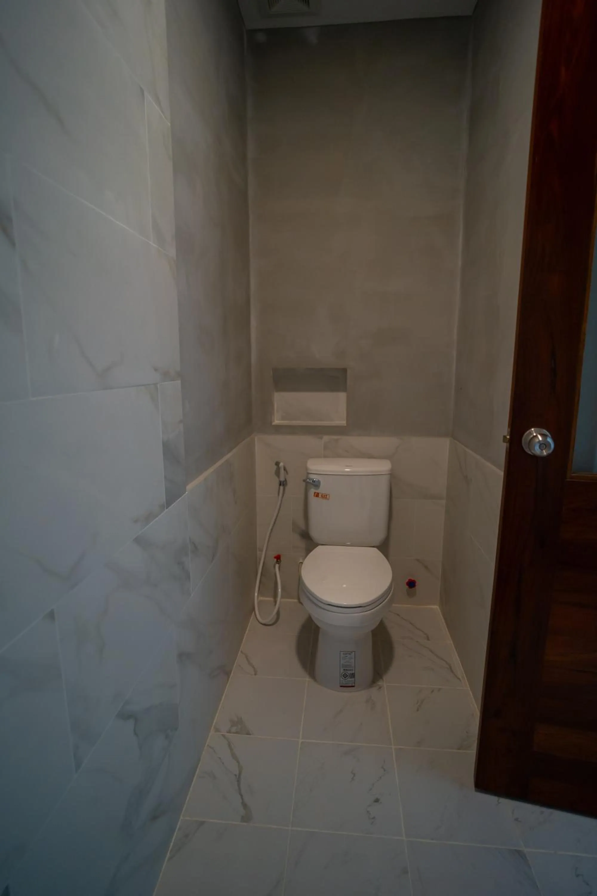 Toilet in Apartment Green Amazon