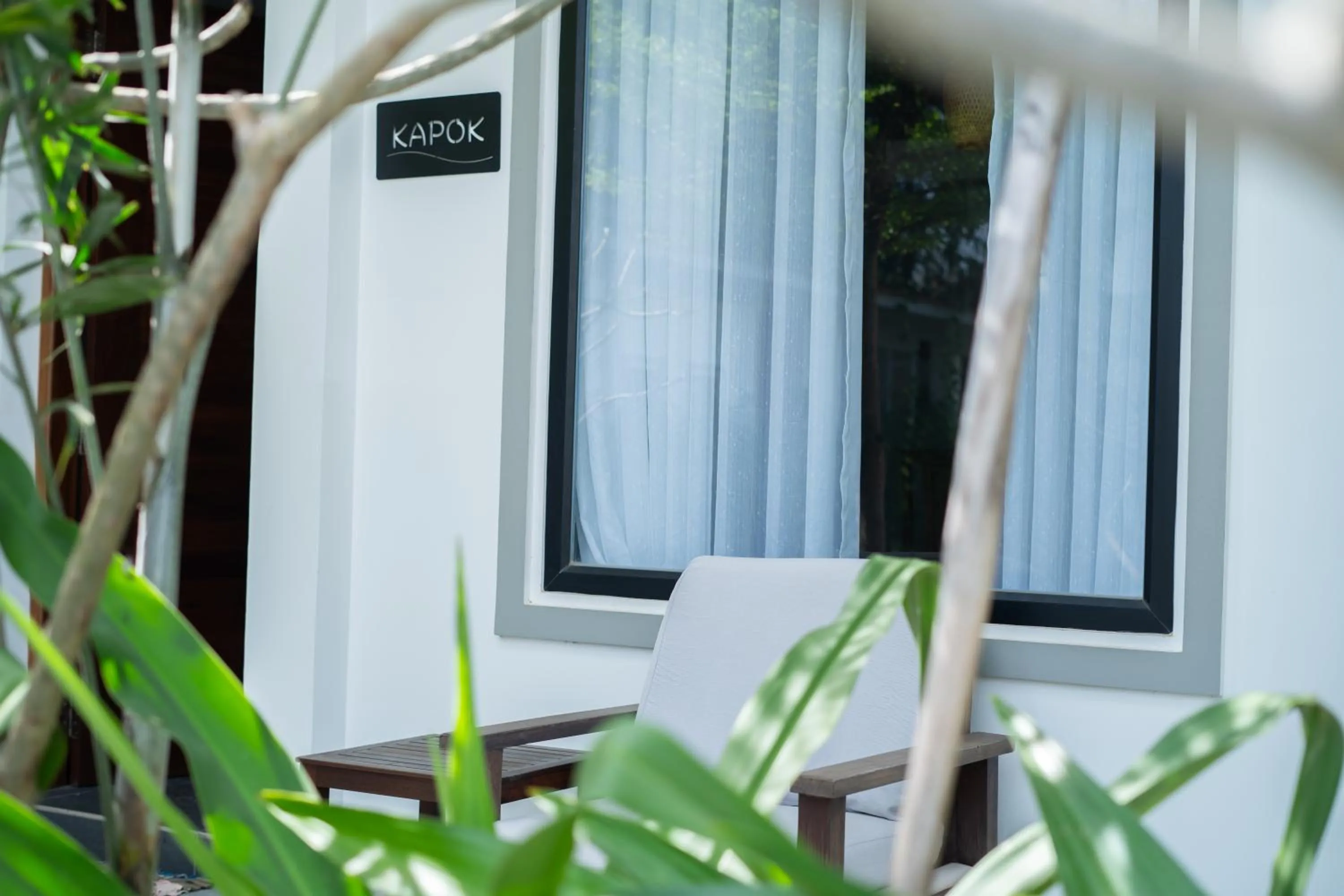 Garden in Apartment Green Amazon