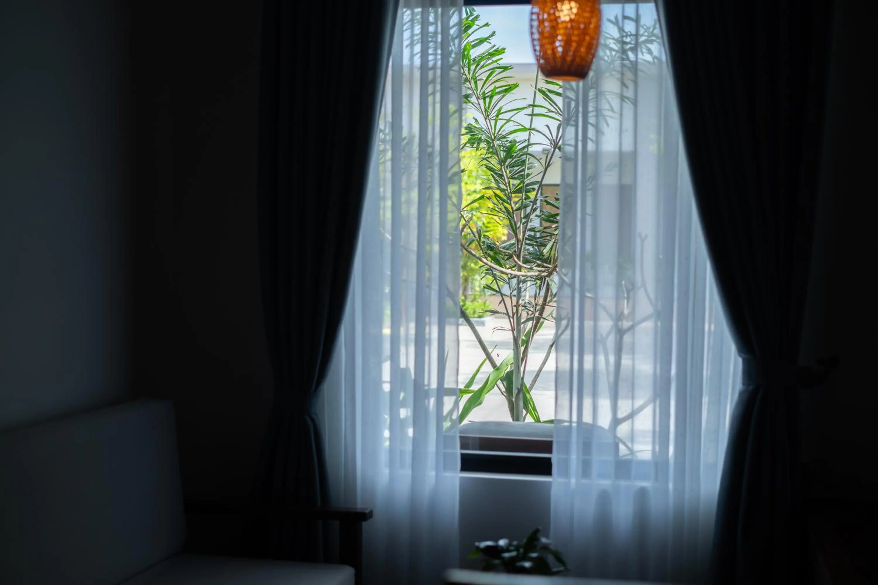 Windsurfing in Apartment Green Amazon