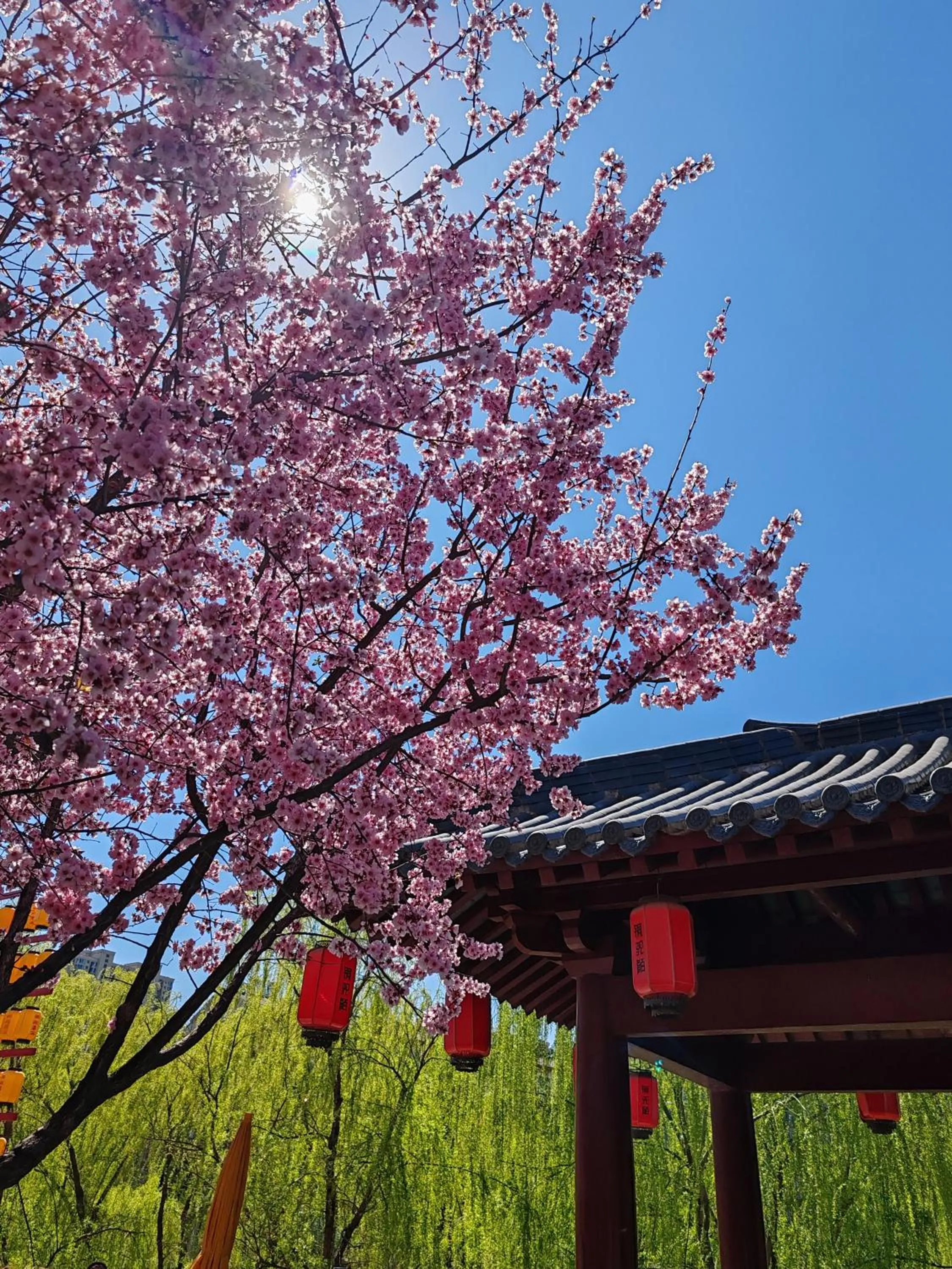 Qichi Waterfront B&B Hotel