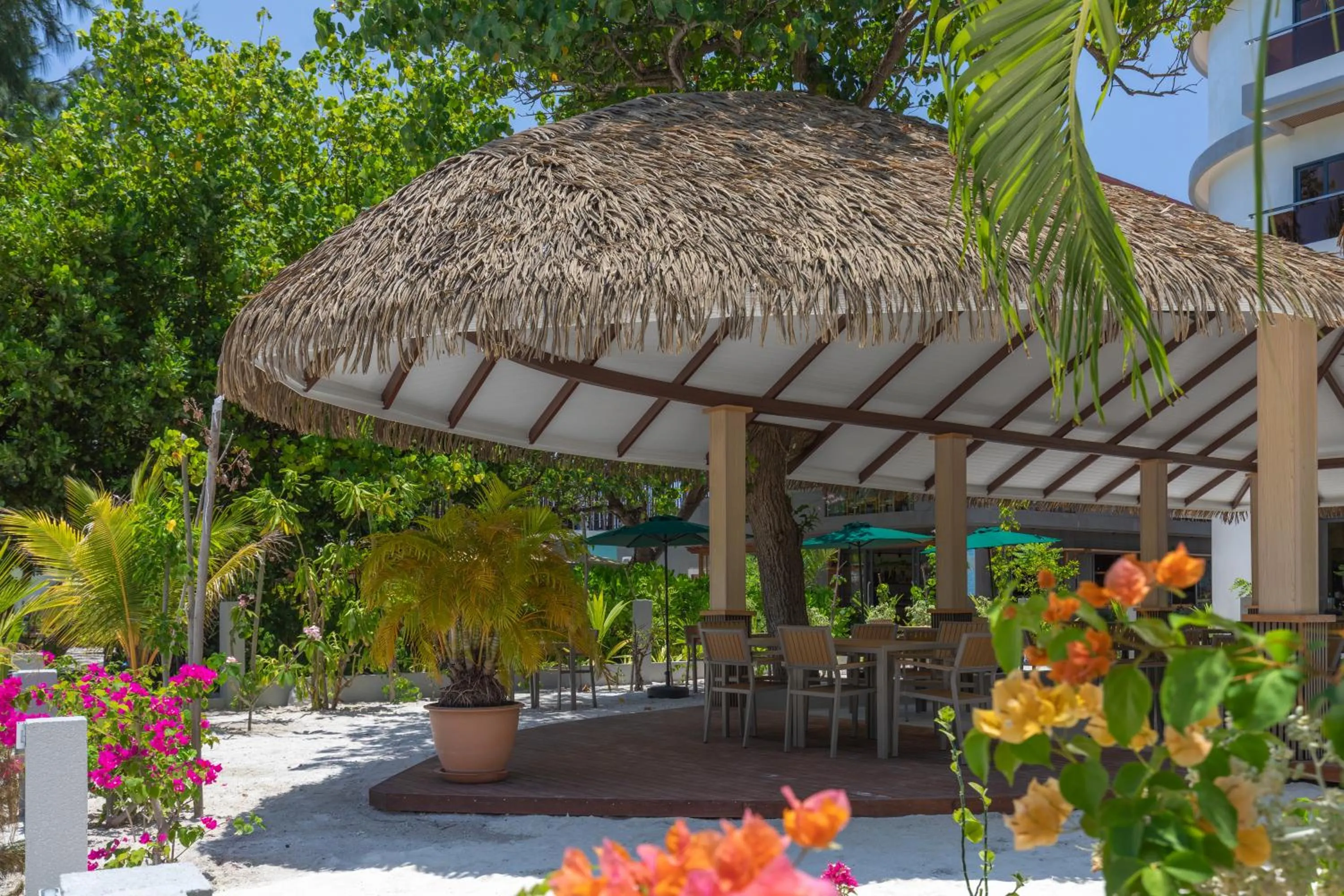 Restaurant/places to eat in Arrival Beach and Spa