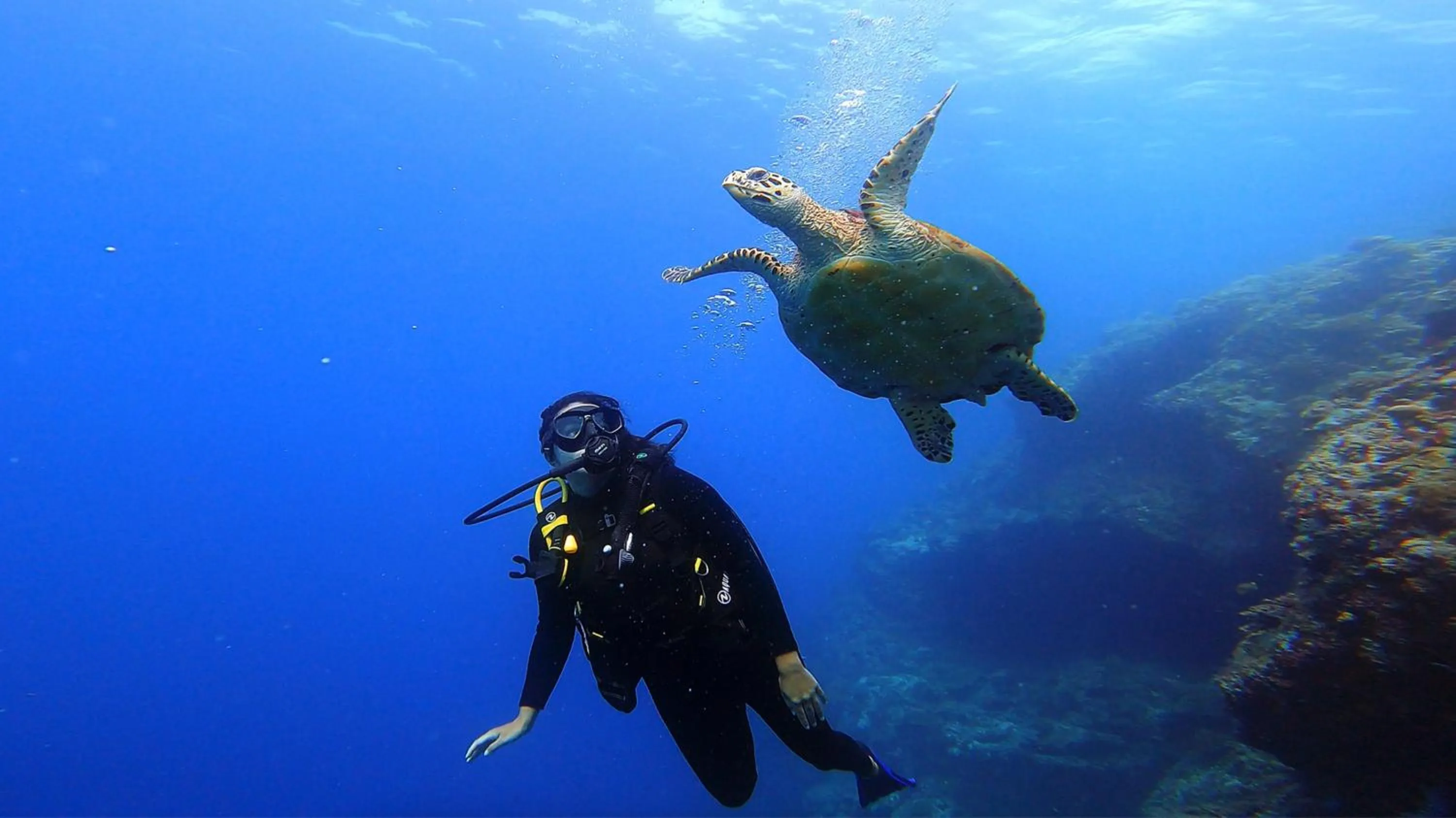 Snorkeling in Arrival Beach and Spa
