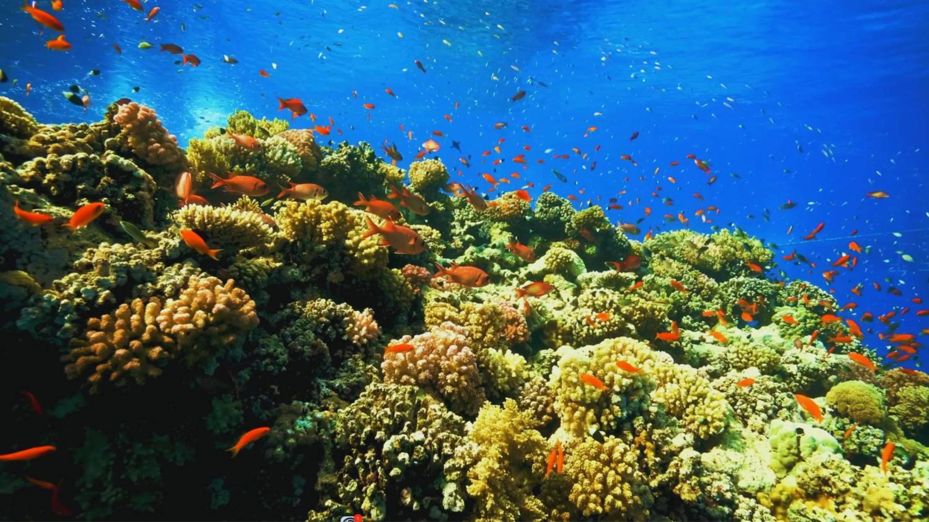 Nearby landmark in Arrival Beach and Spa