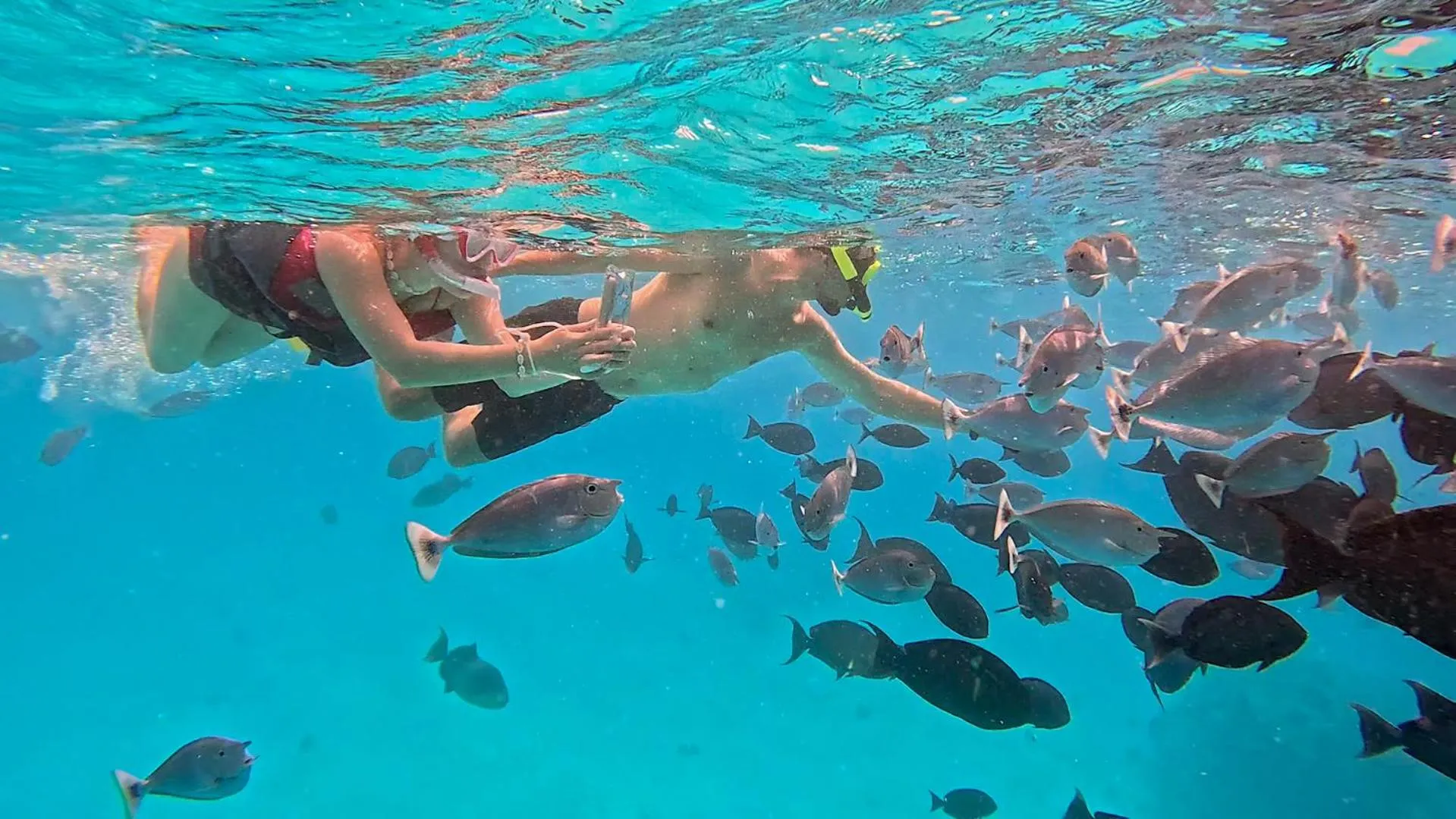 Activities in Arrival Beach and Spa