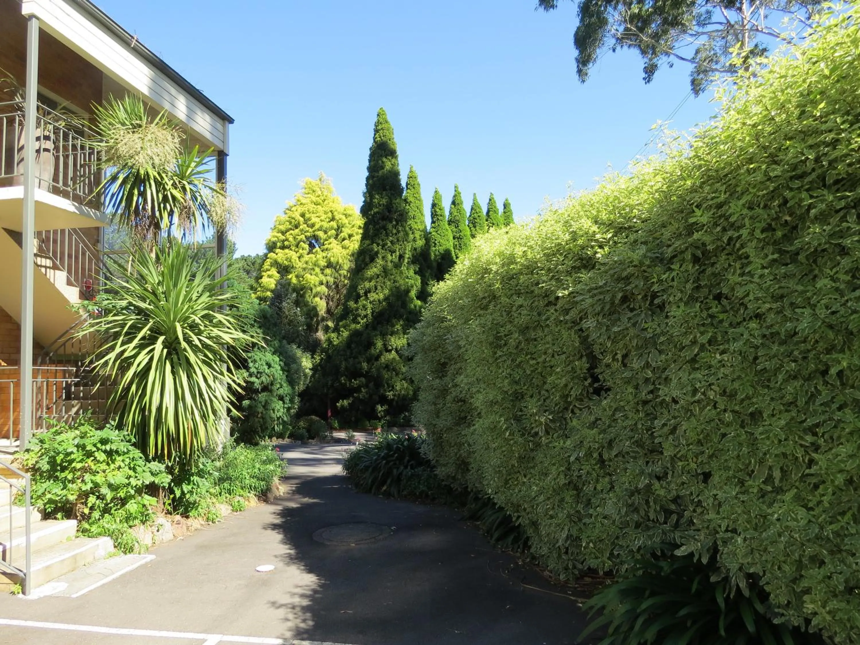 Day in Golfview Lodge