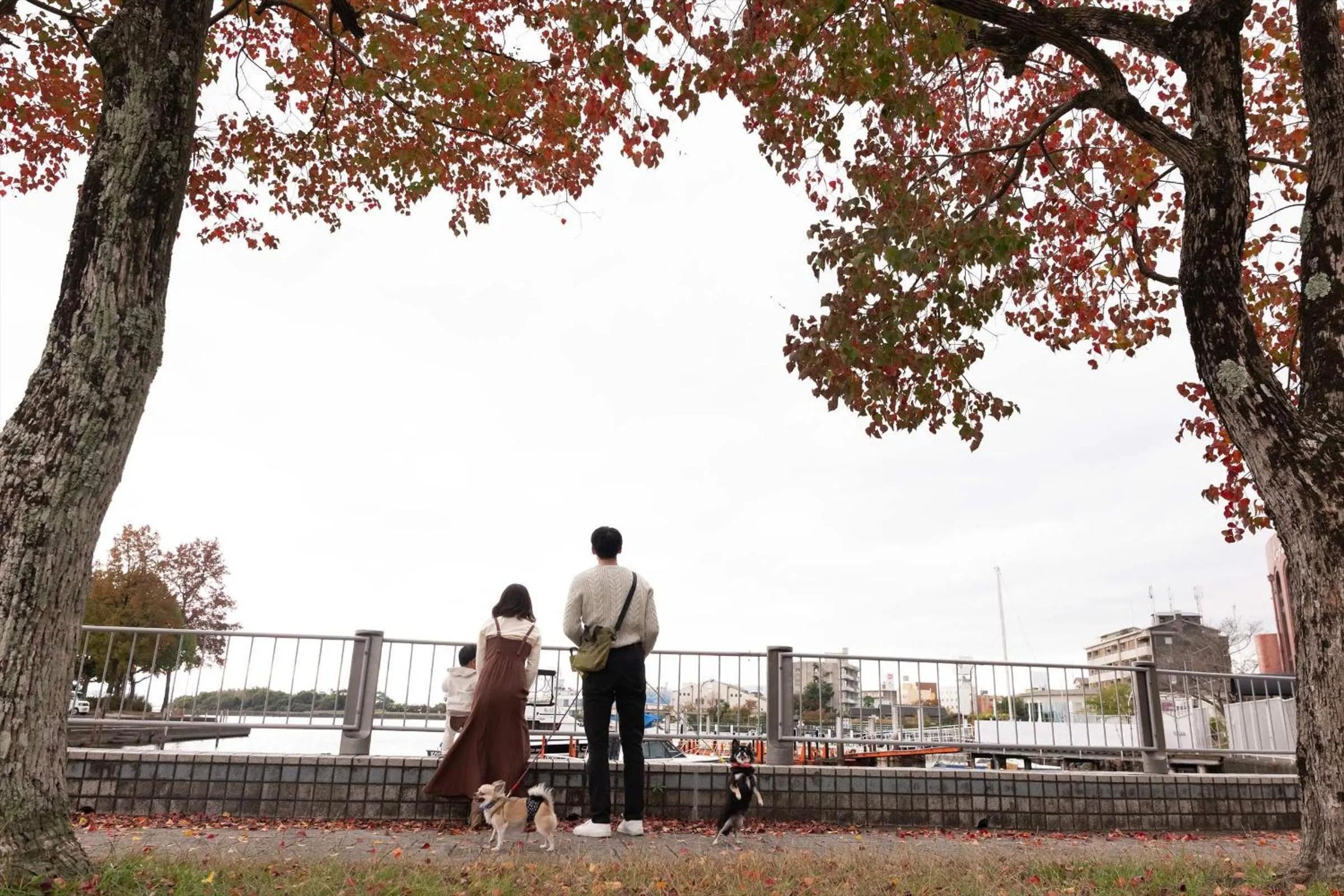 Nearby landmark in Dantokan Kikunoya