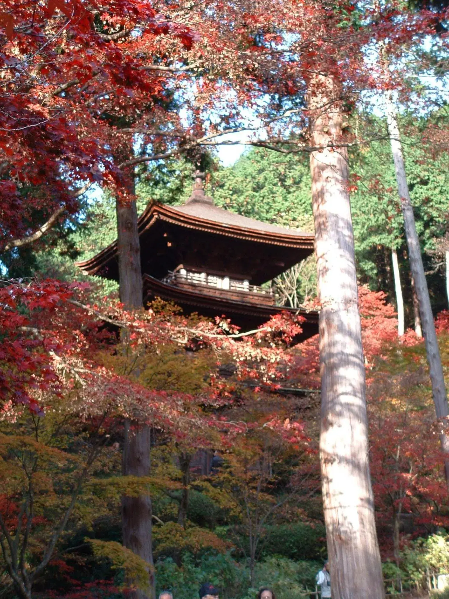 Property building in Dantokan Kikunoya Property building in Dantokan Kikunoya