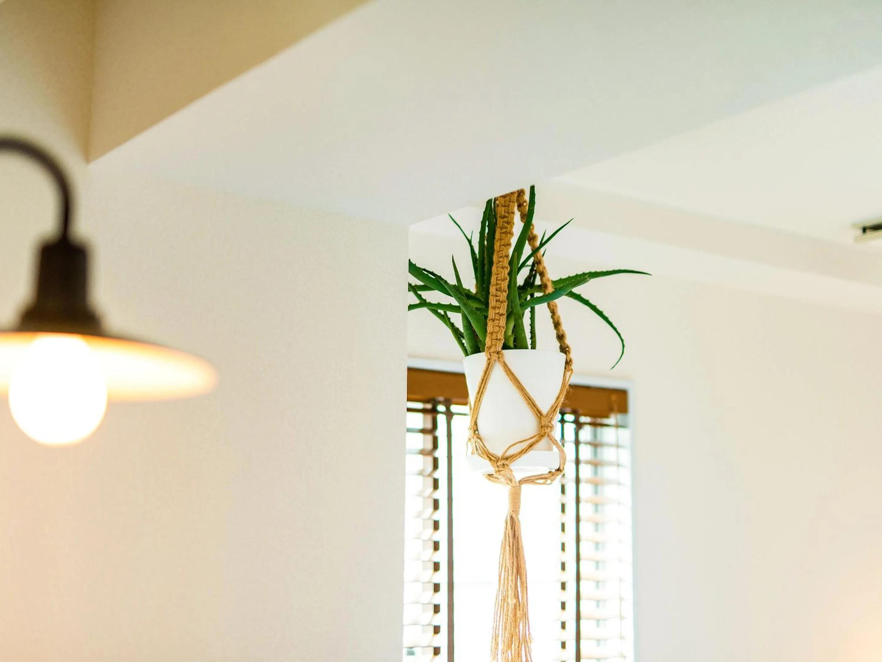 Photo of the whole room in Hotel Pacific Kanazawa