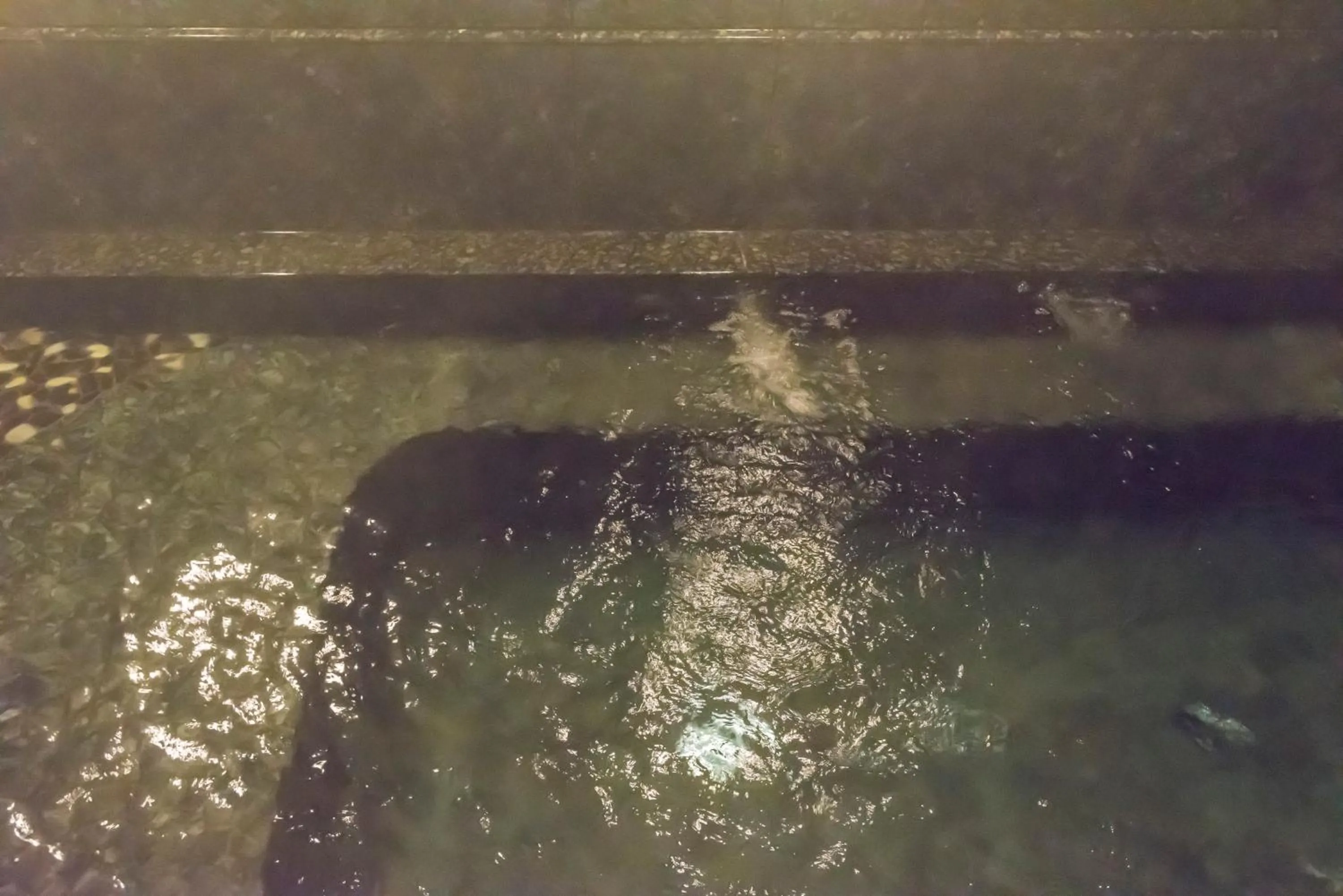 Hot Spring Bath in Awara Grand Hotel